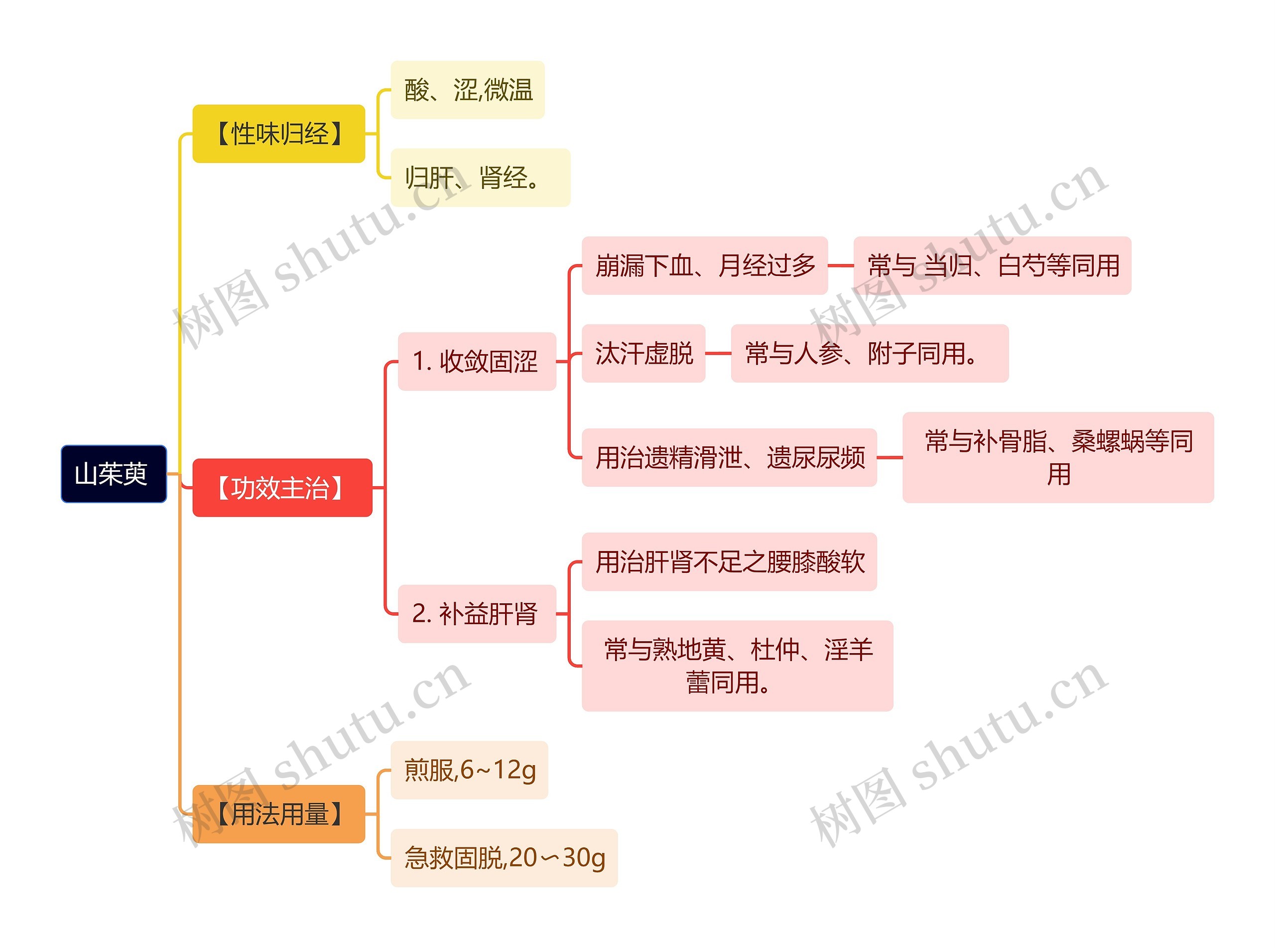 中医知识山茱萸思维导图