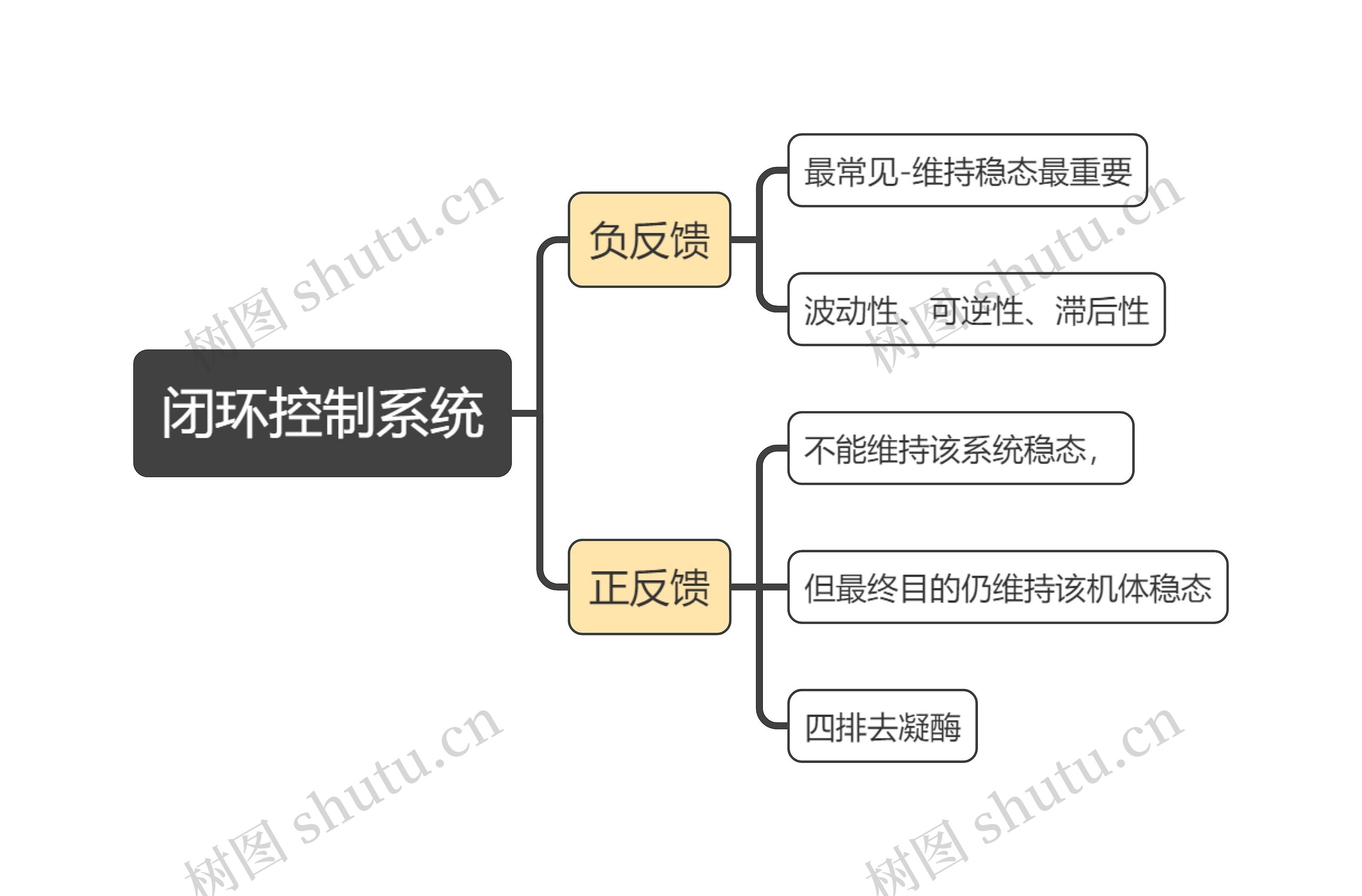 生理学闭环控制系统思维导图高清图 生理学闭环控制系统思维导图
