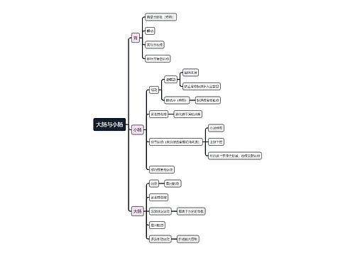 医学知识大肠与小肠思维导图