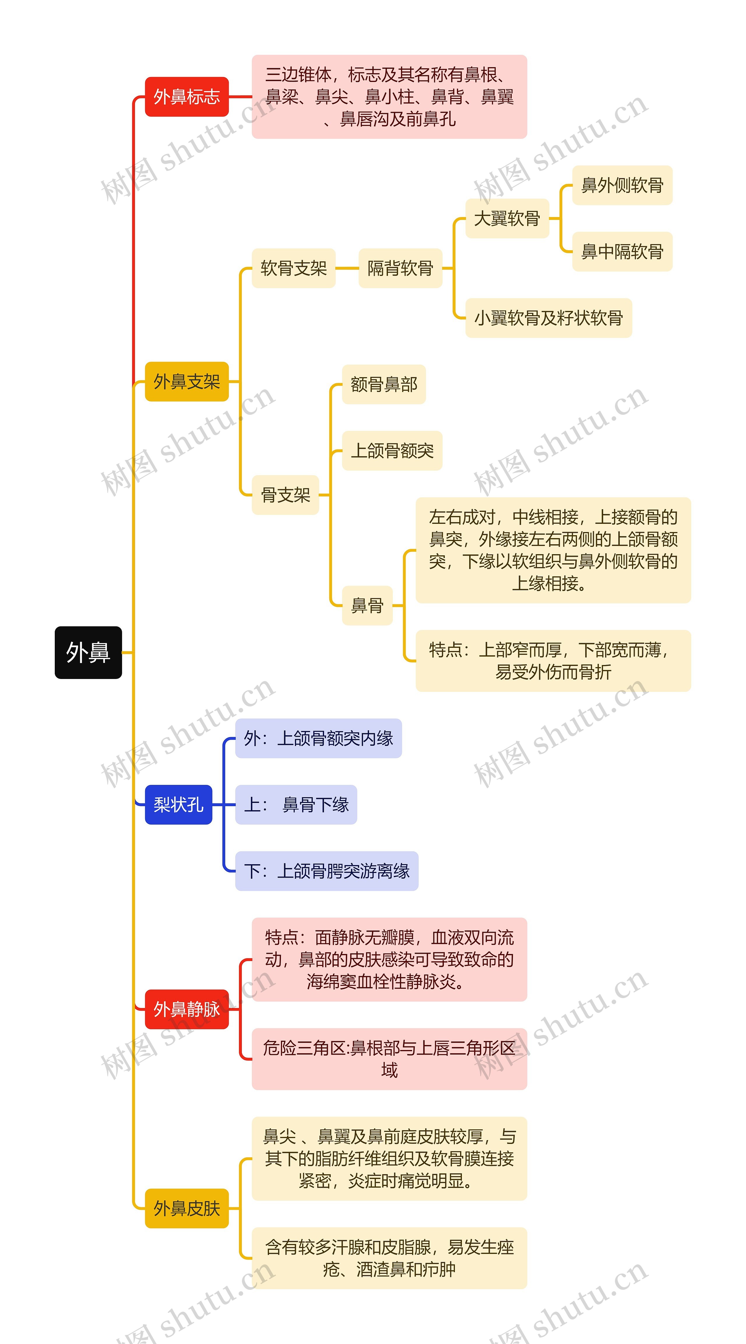 医学知识外鼻思维导图