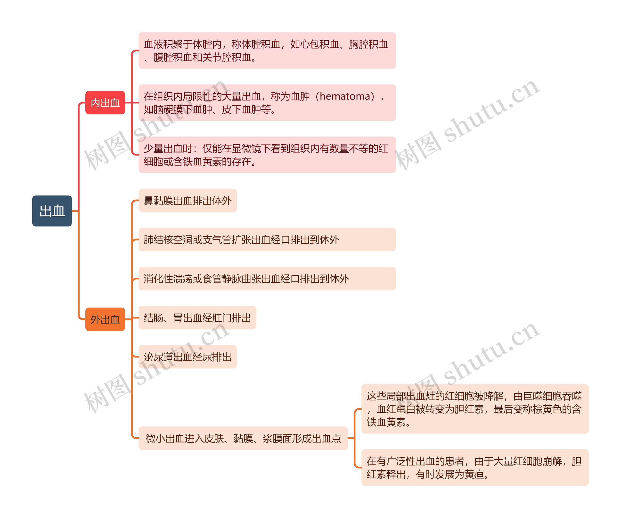 出血思维导图