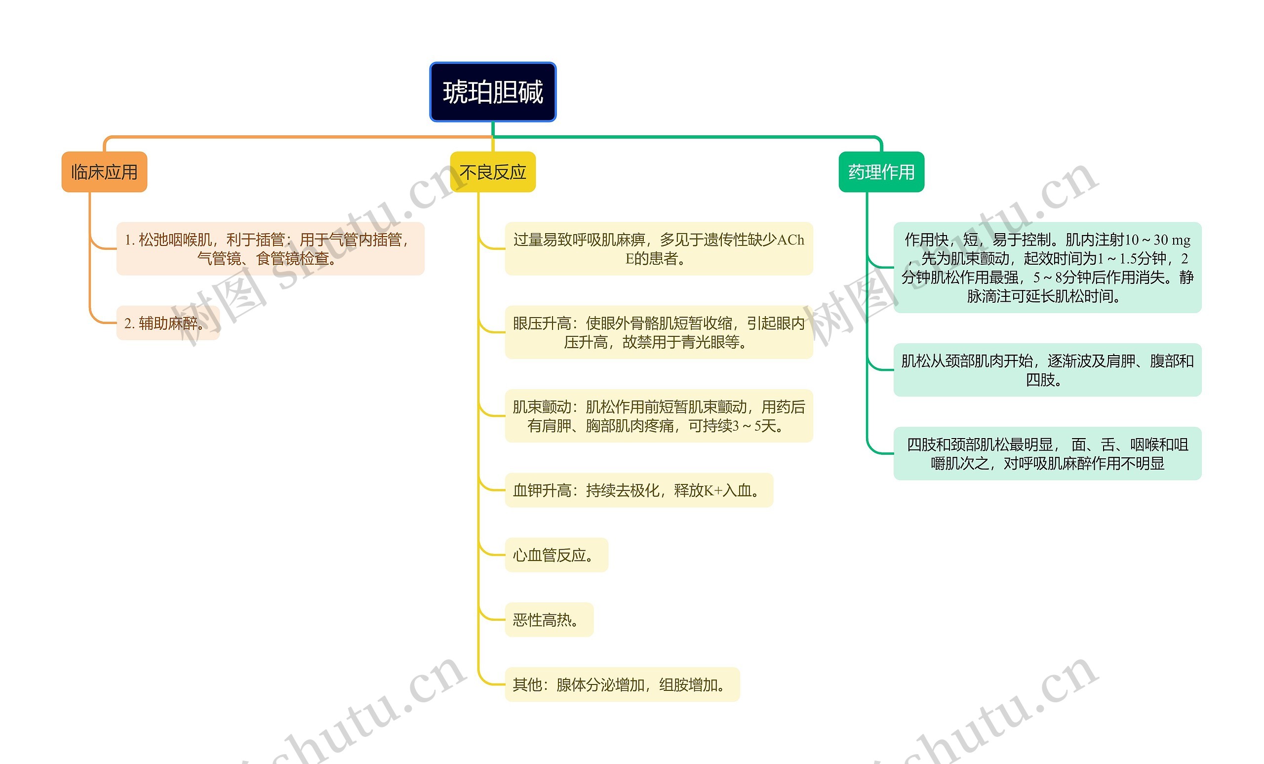 医学知识琥珀胆碱思维导图