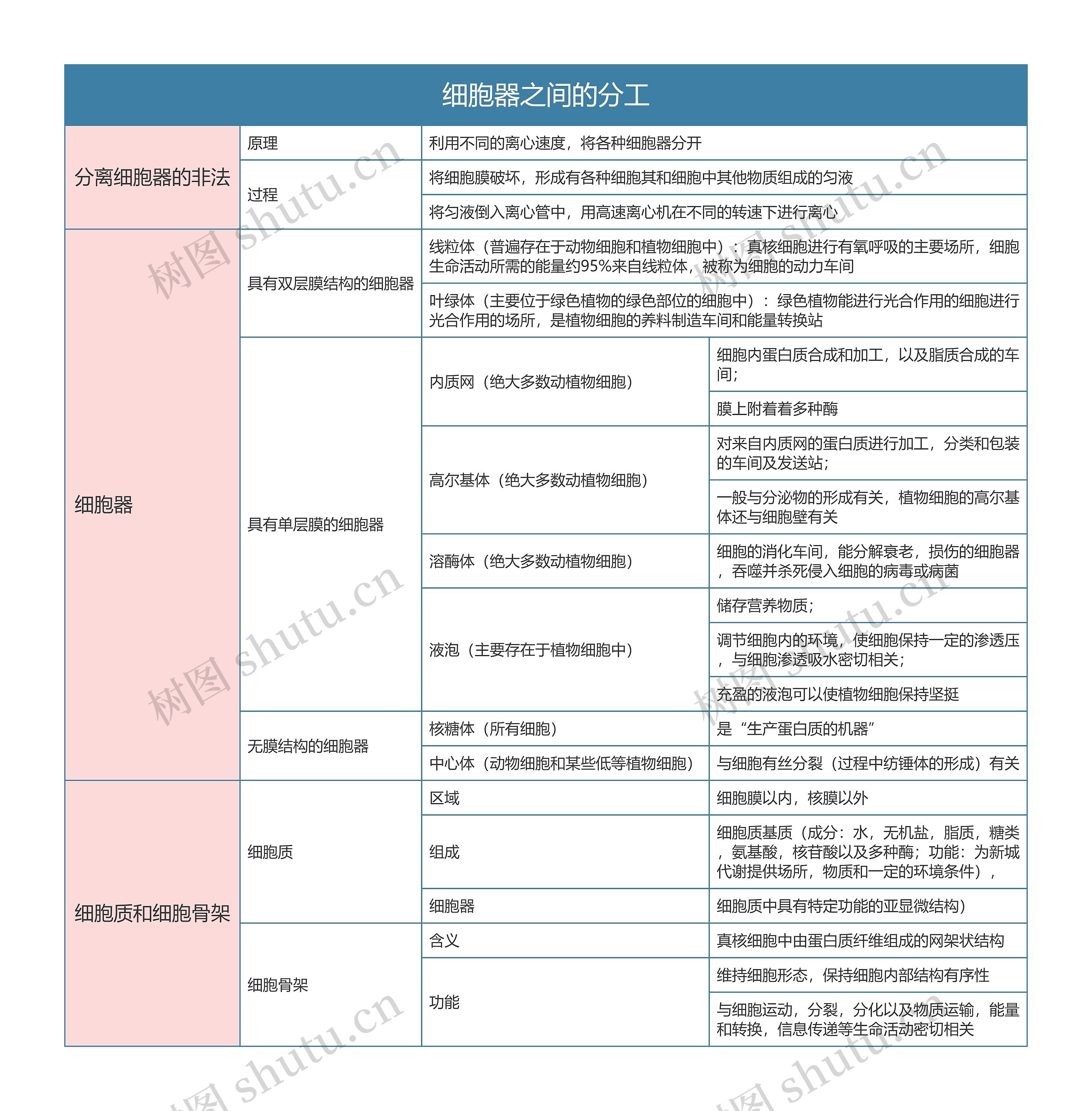 高中生物必修一 细胞器之间的分工思维导图