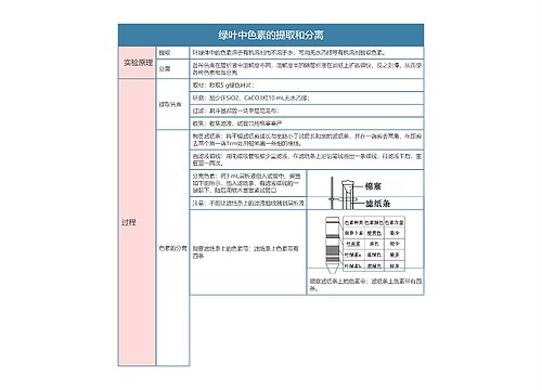 高中生物必修一绿叶中色素的提取和分离思维导图