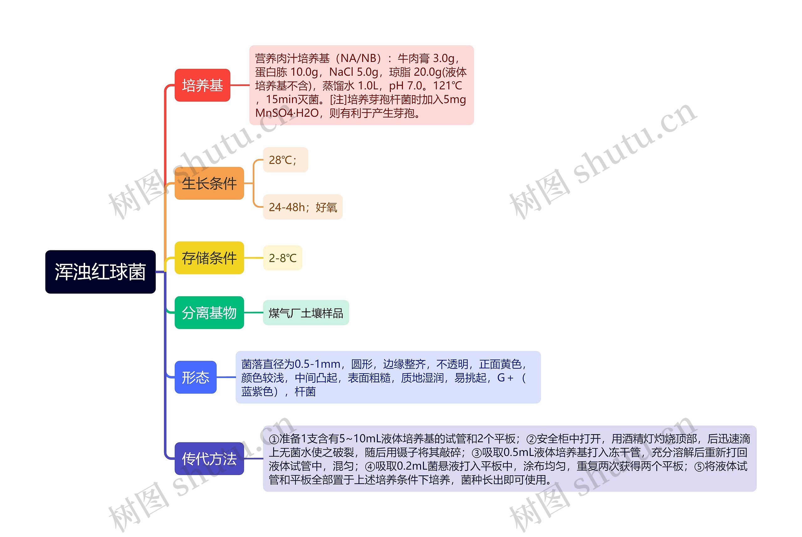 浑浊红球菌思维导图