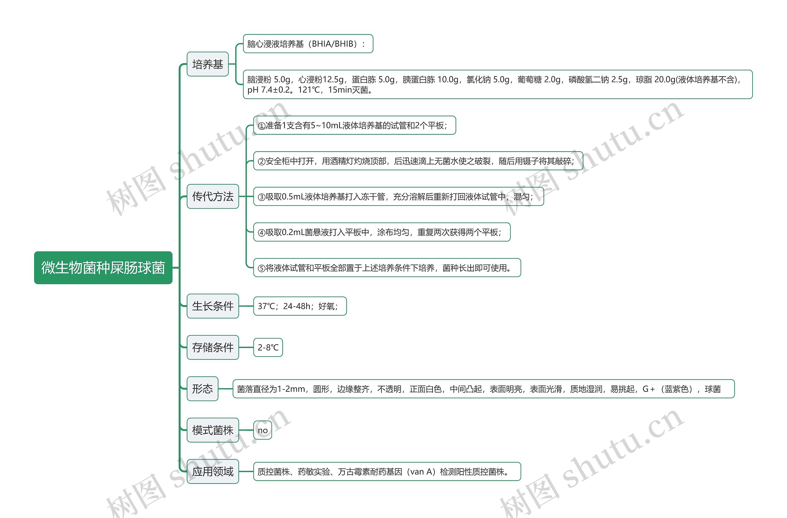 微生物菌种屎肠球菌思维导图