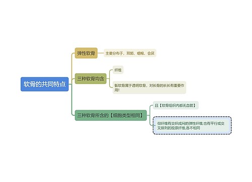 医学知识软骨的共同特点思维导图