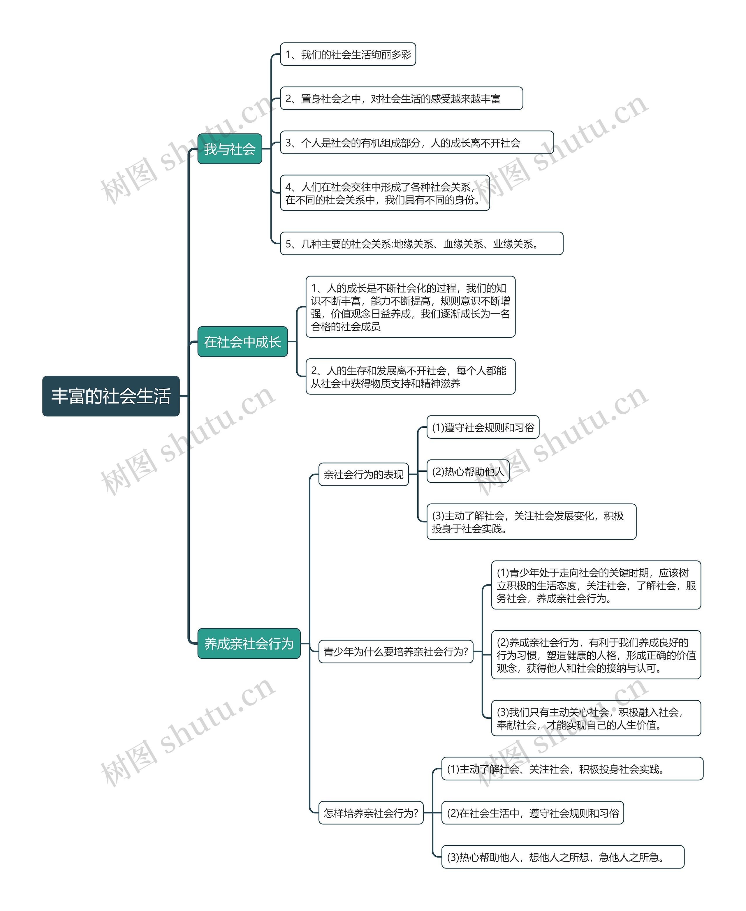 八年级上册政治丰富的社会生活的思维导图