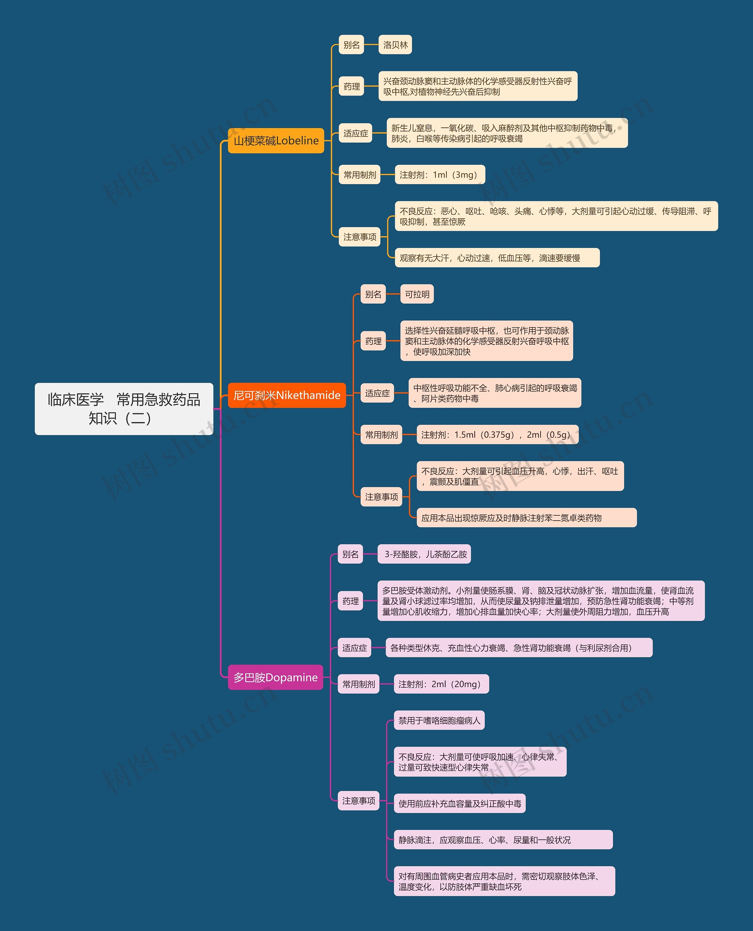 临床医学   常用急救药品知识（二）思维导图