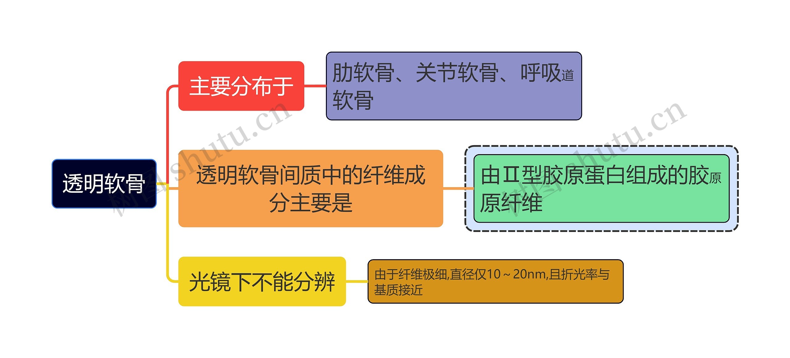 医学知识透明软骨思维导图