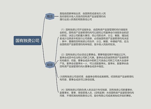 国有独资公司的思维导图