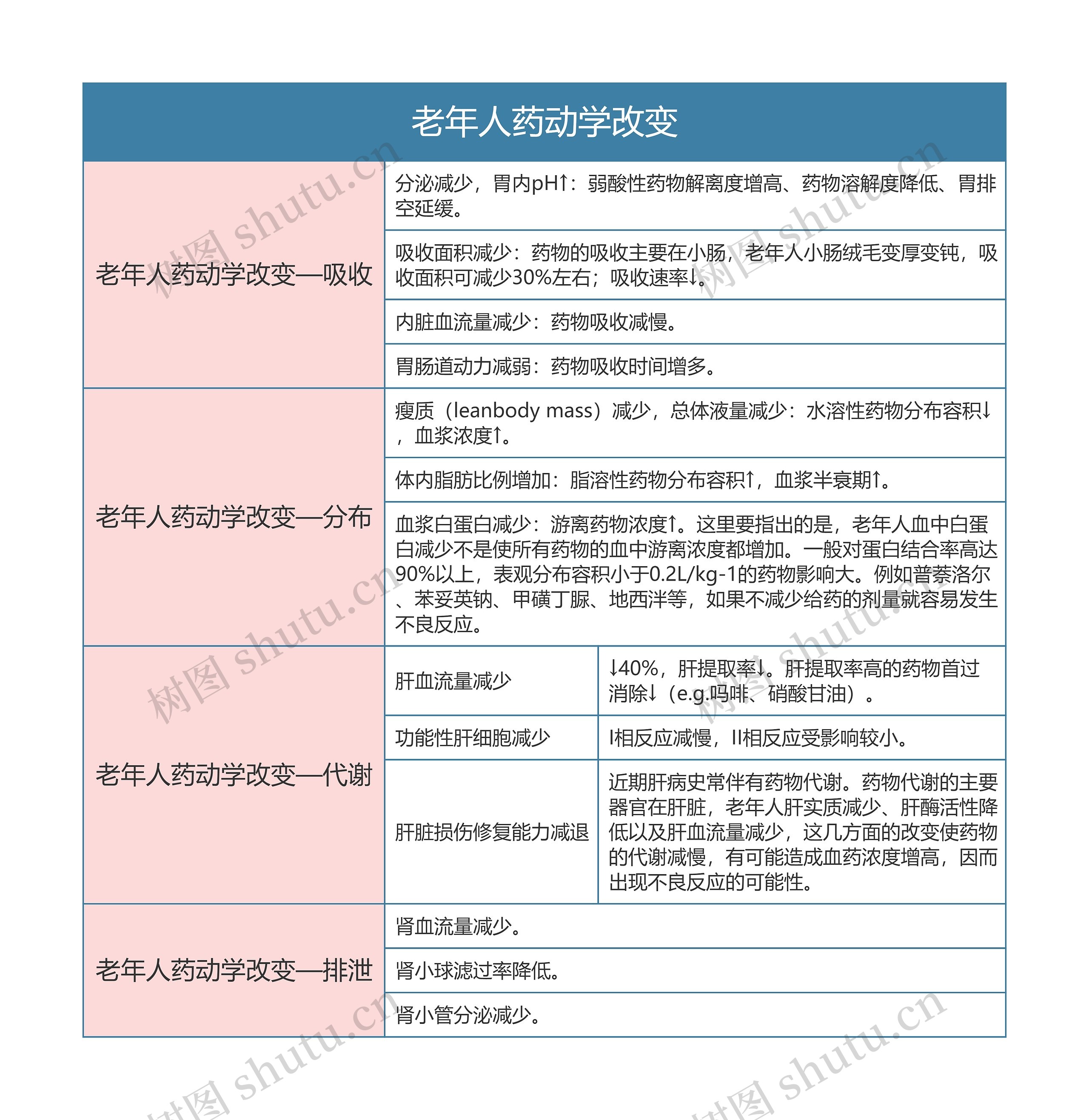 药理学  老年人药动学改变  思维导图