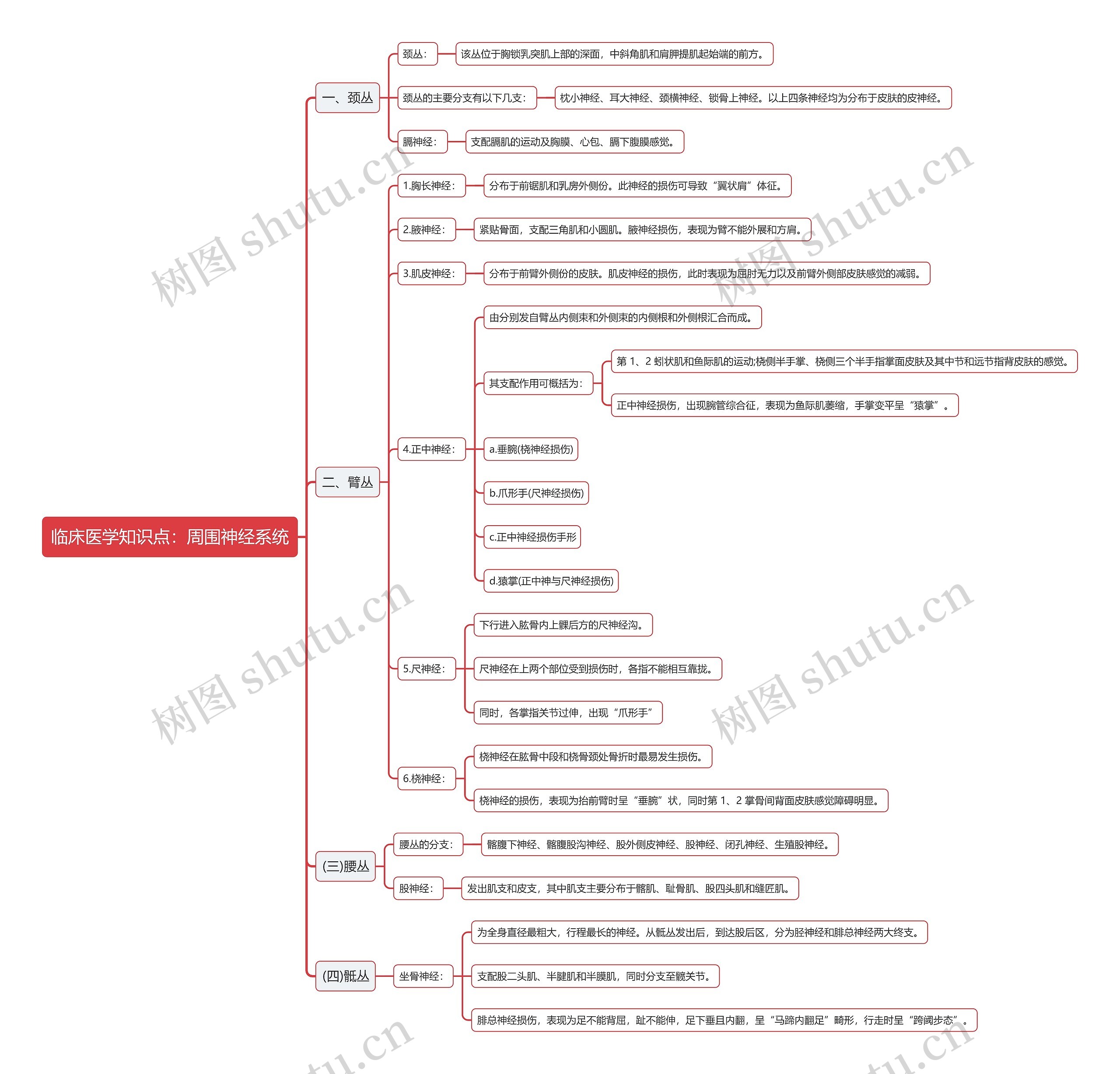 临床医学知识点：周围神经系统思维导图