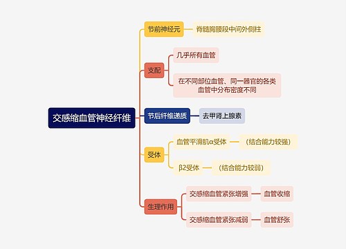 医学知识交感缩血管神经纤维思维导图