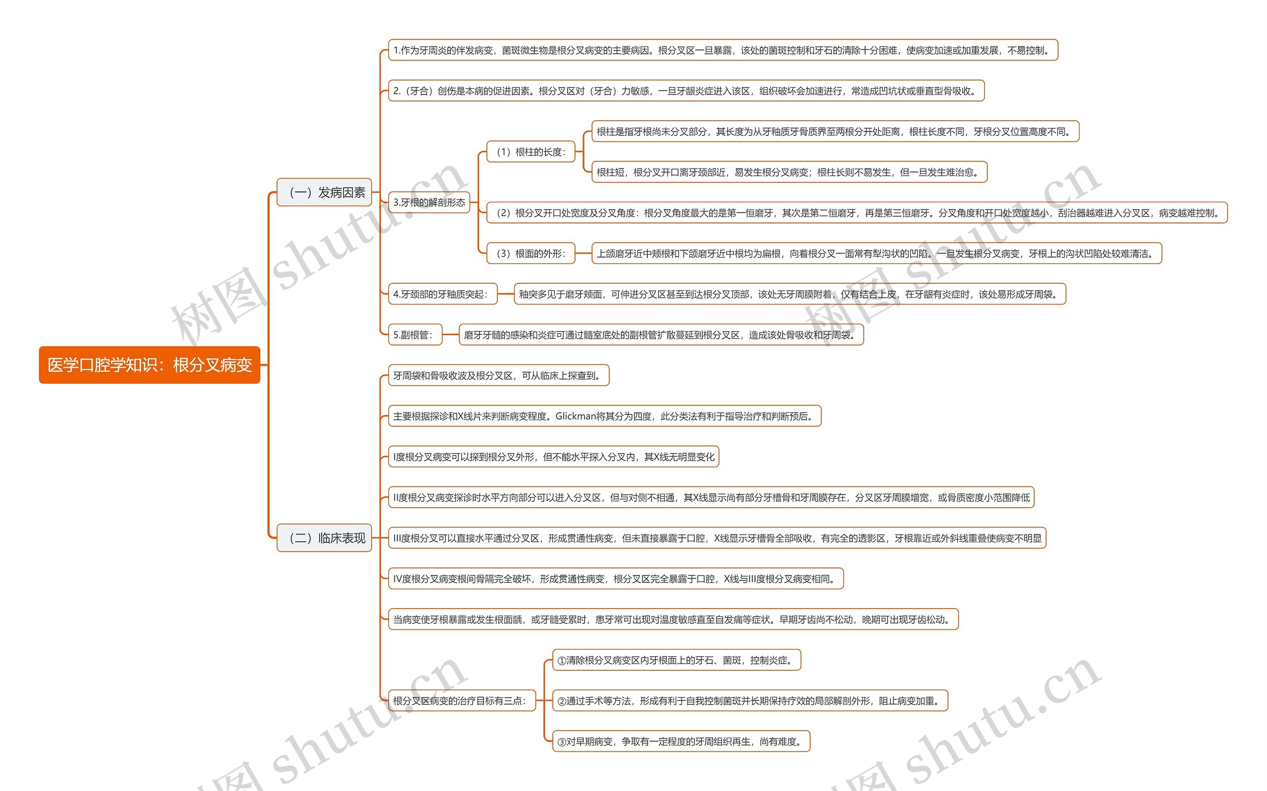 医学口腔学知识：根分叉病变思维导图
