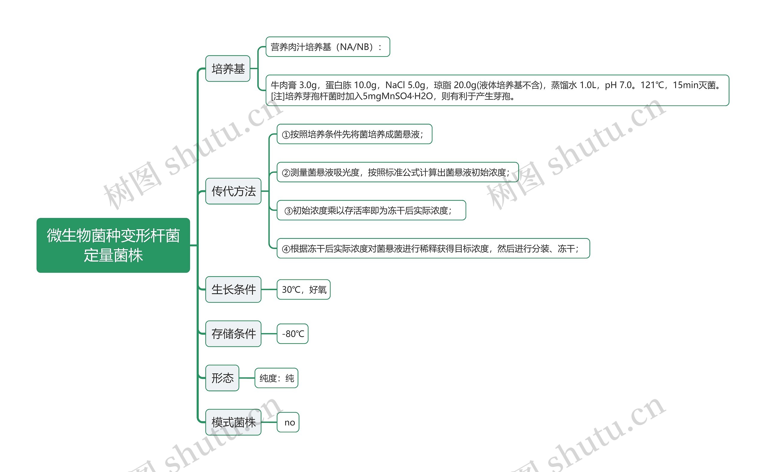 微生物菌种变形杆菌定量菌株思维导图