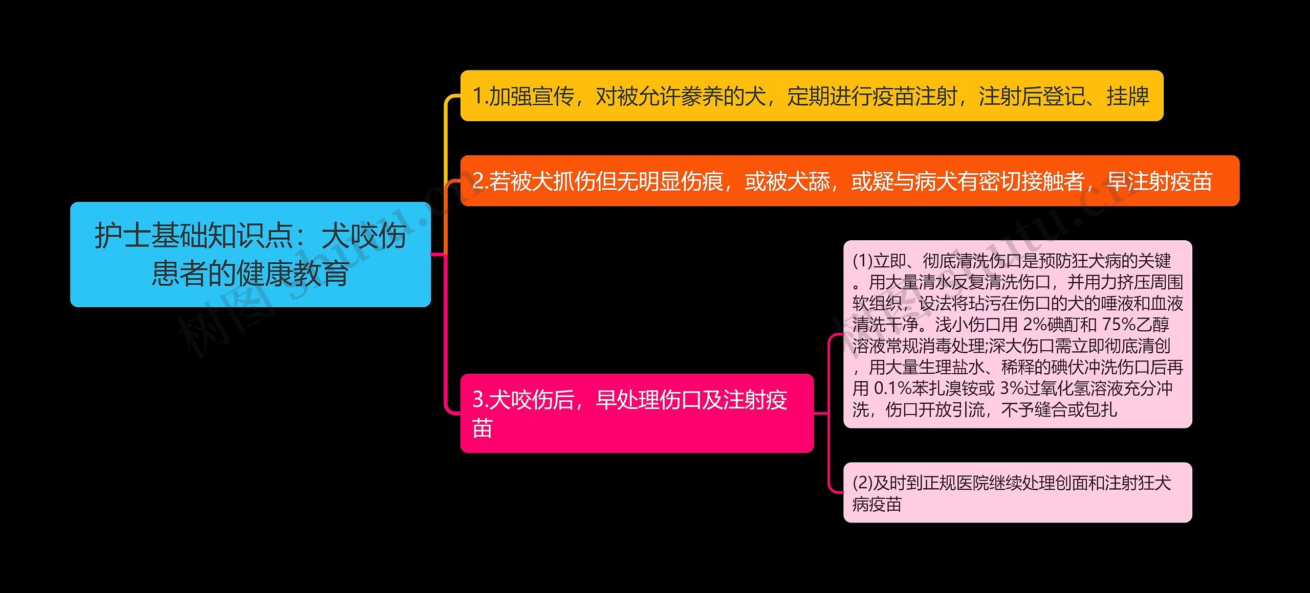 护士基础知识点：犬咬伤患者的健康教育思维导图