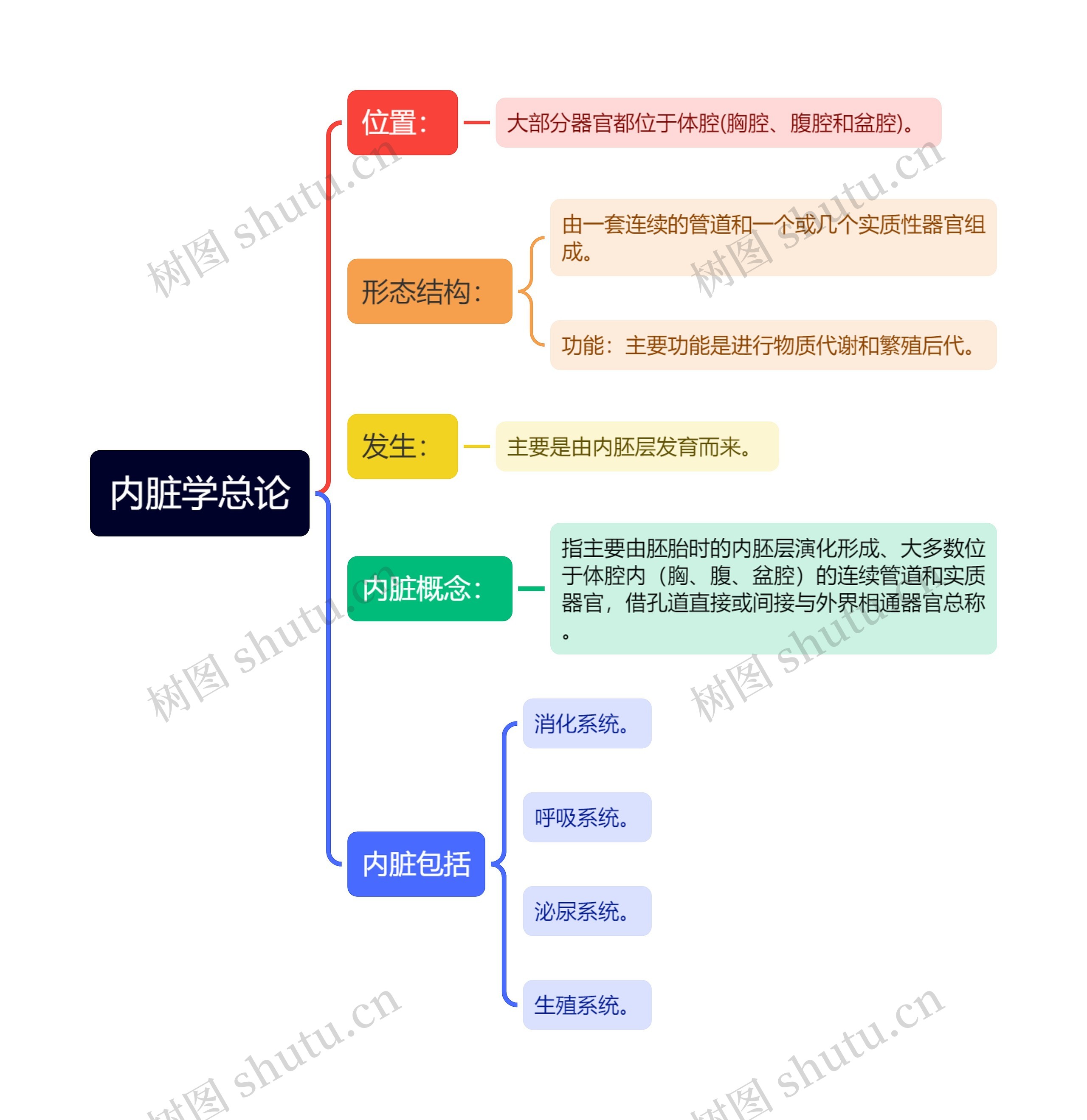 内脏学总论思维导图