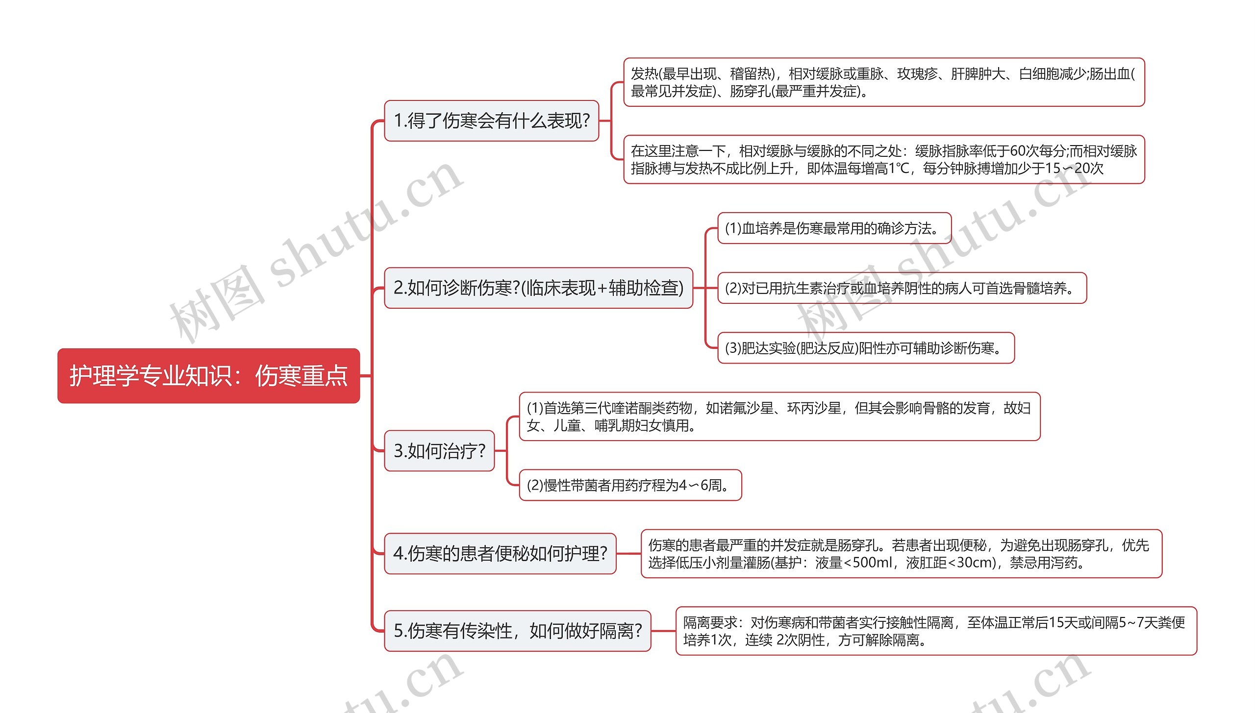 护理学专业知识：伤寒重点思维导图