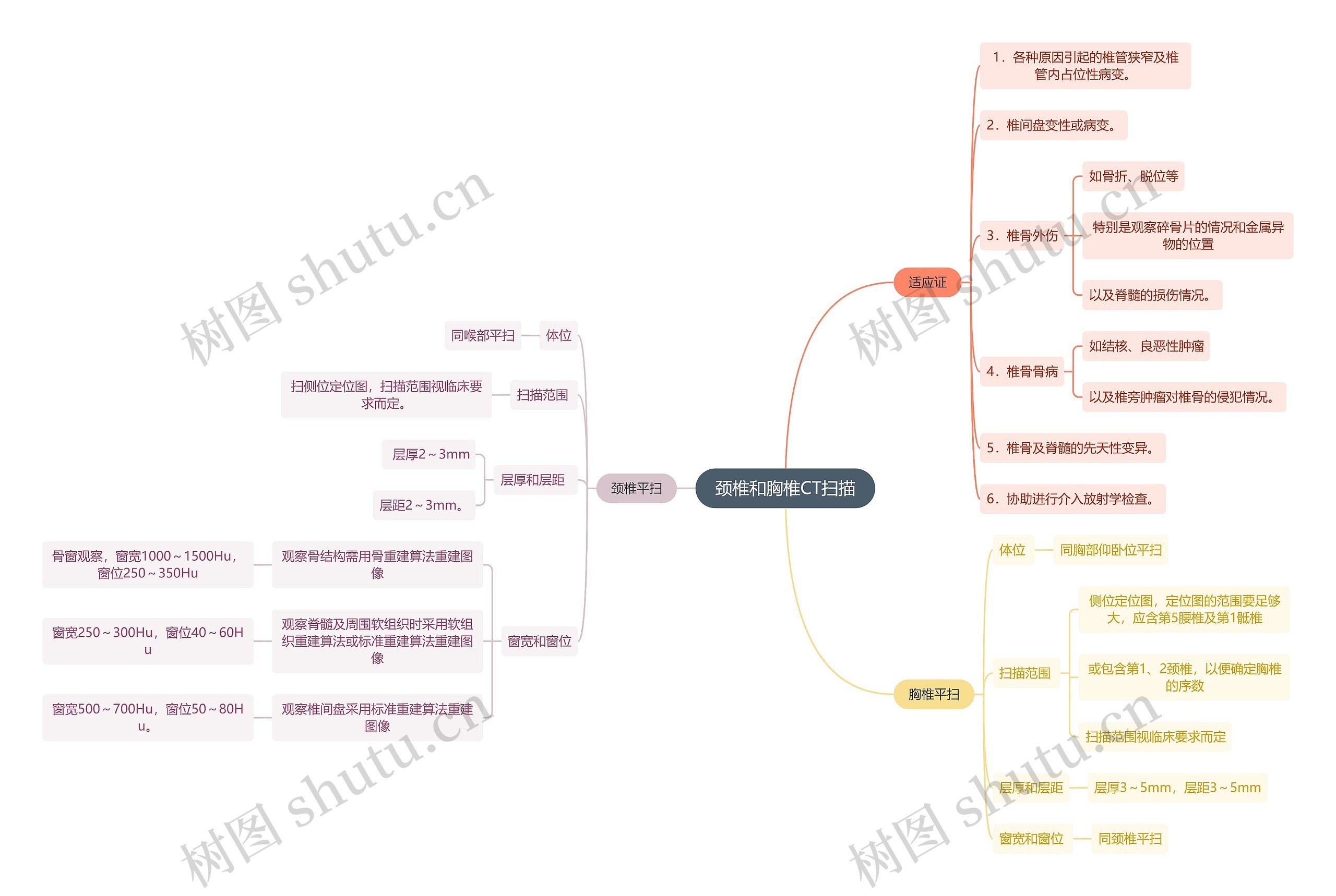 医学知识颈椎和胸椎CT扫描思维导图