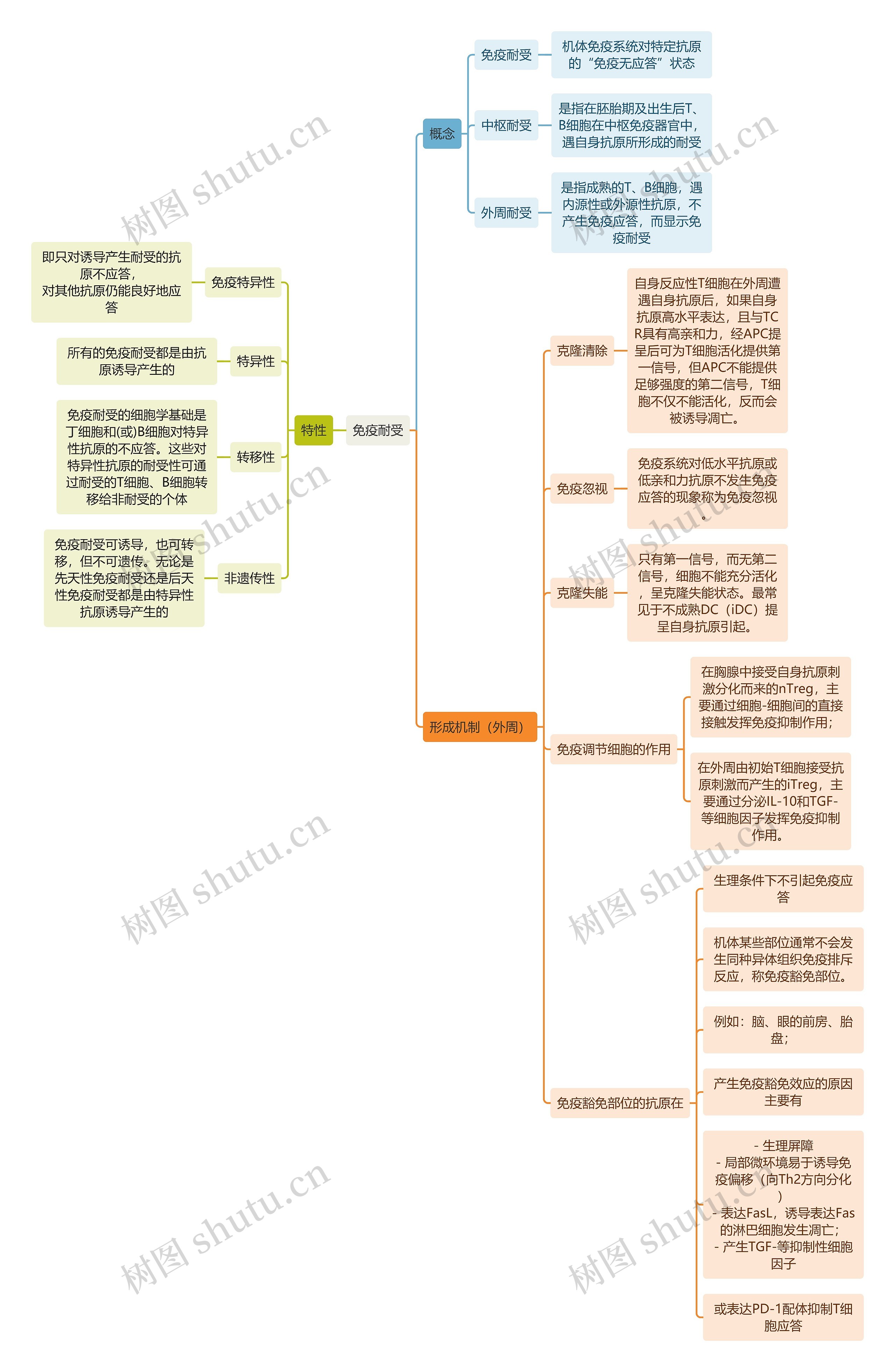 医学知识免疫耐受思维导图