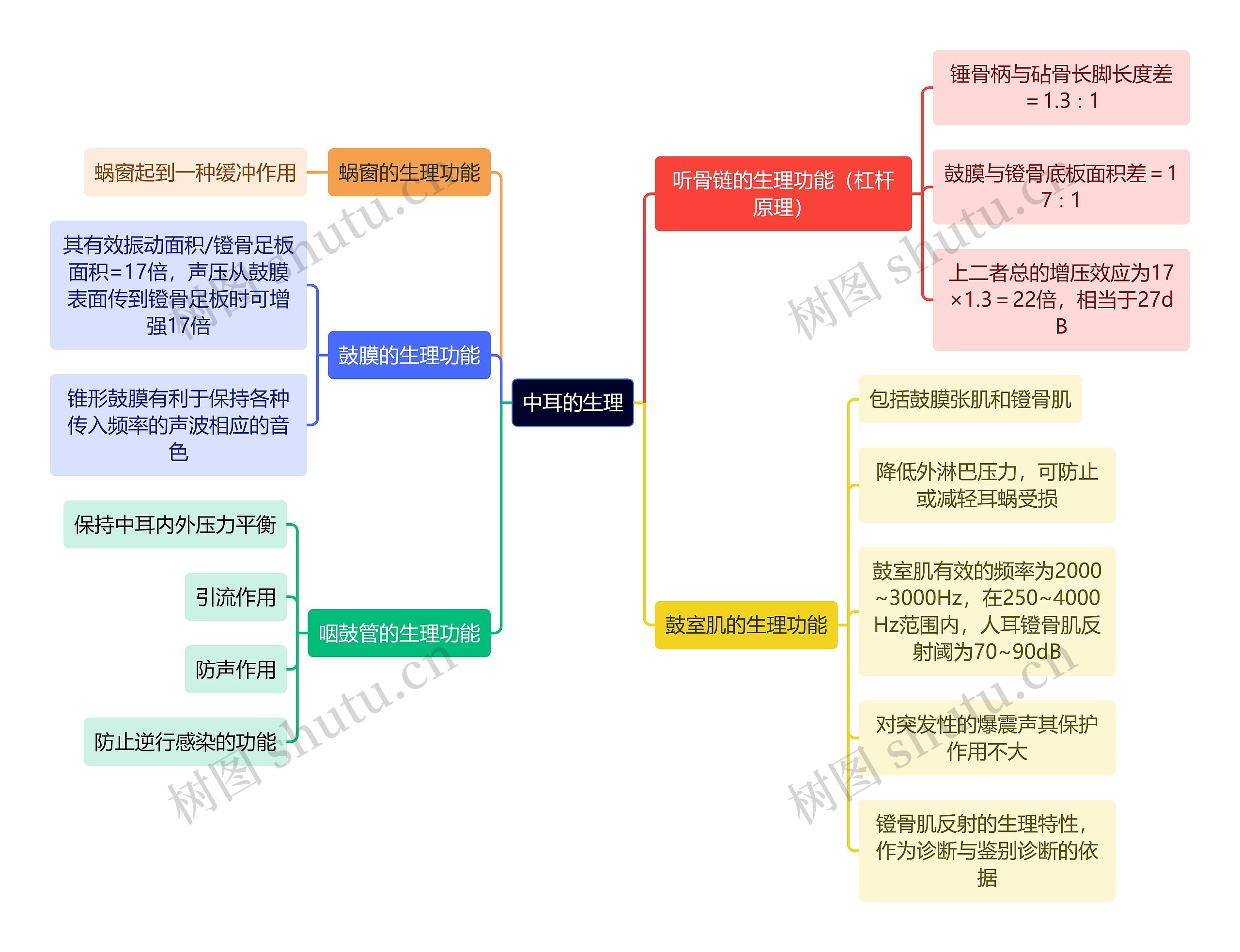 医学知识中耳的生理思维导图