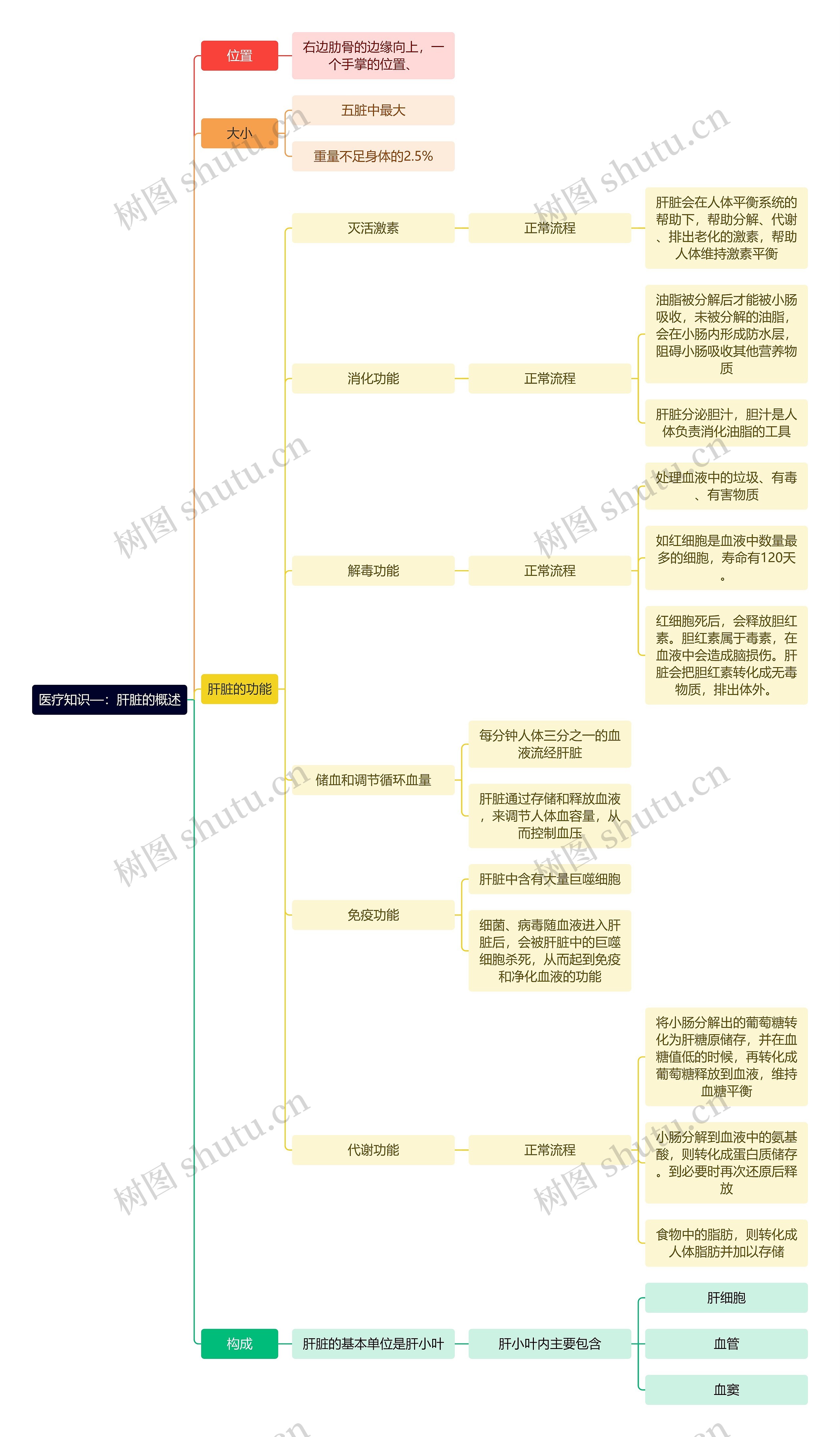 医疗知识—：肝脏的概述思维导图