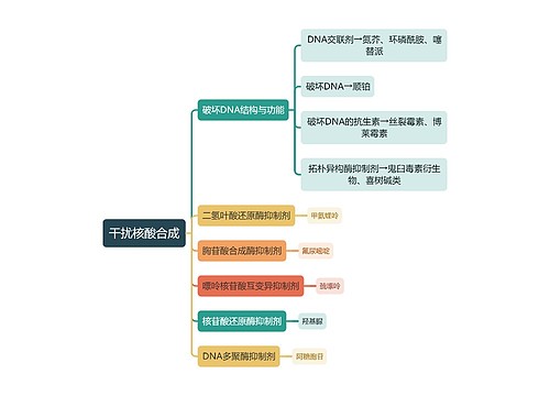 医学干扰核酸合成思维导图