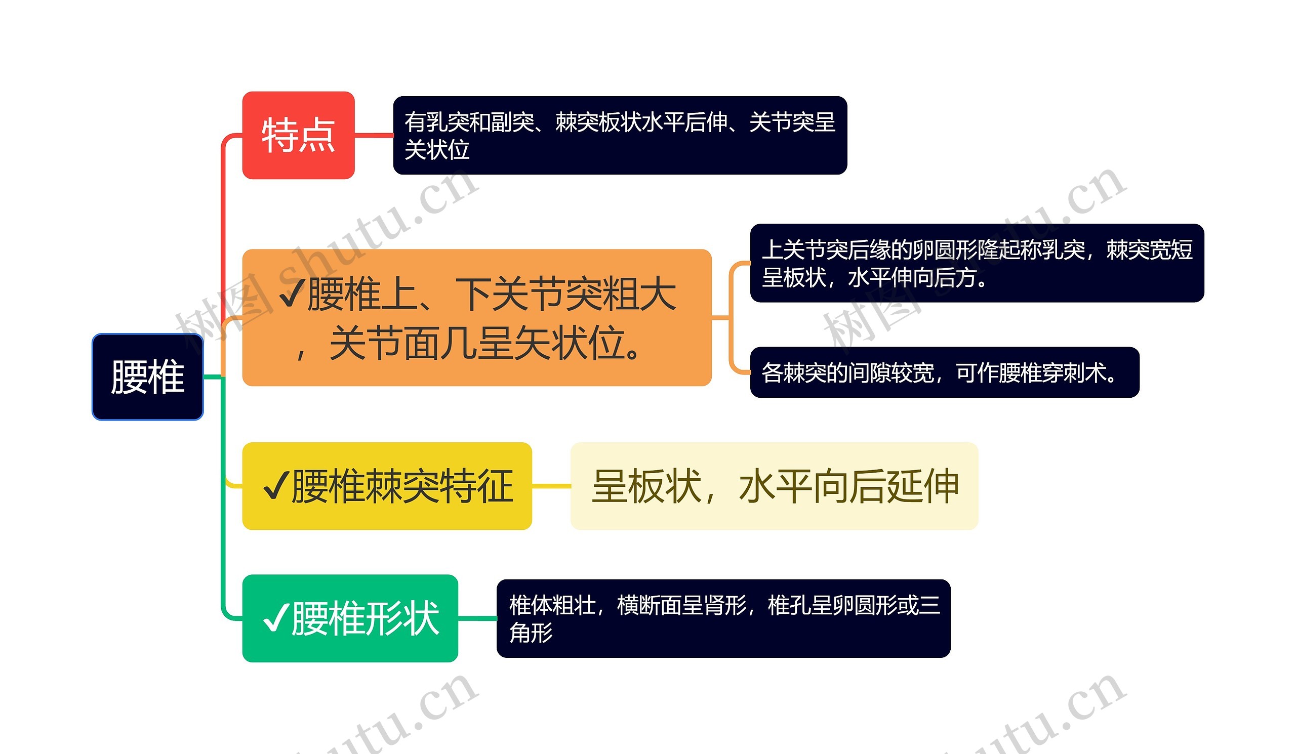 医学知识腰椎思维导图