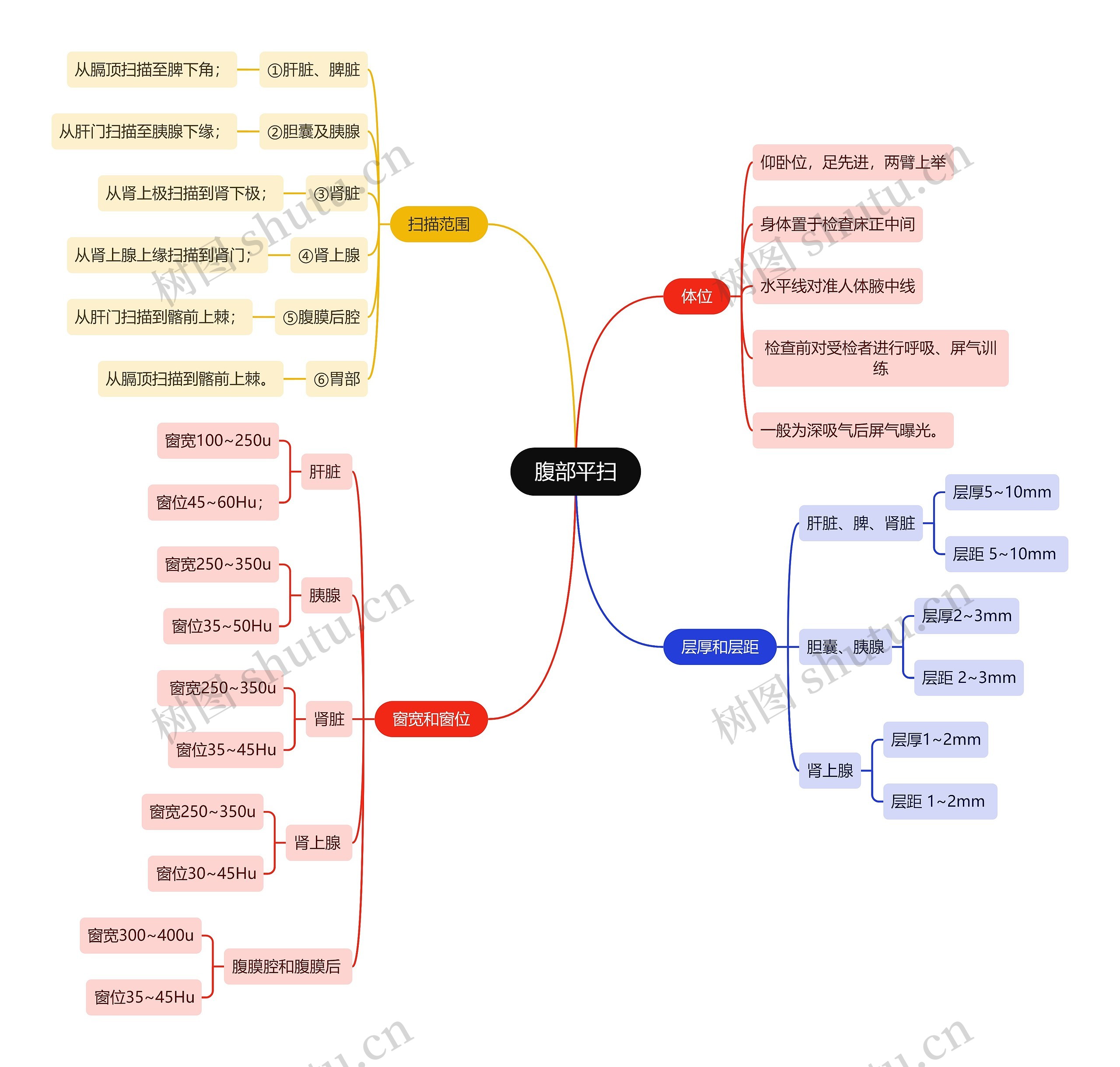 医学知识腹部平扫思维导图