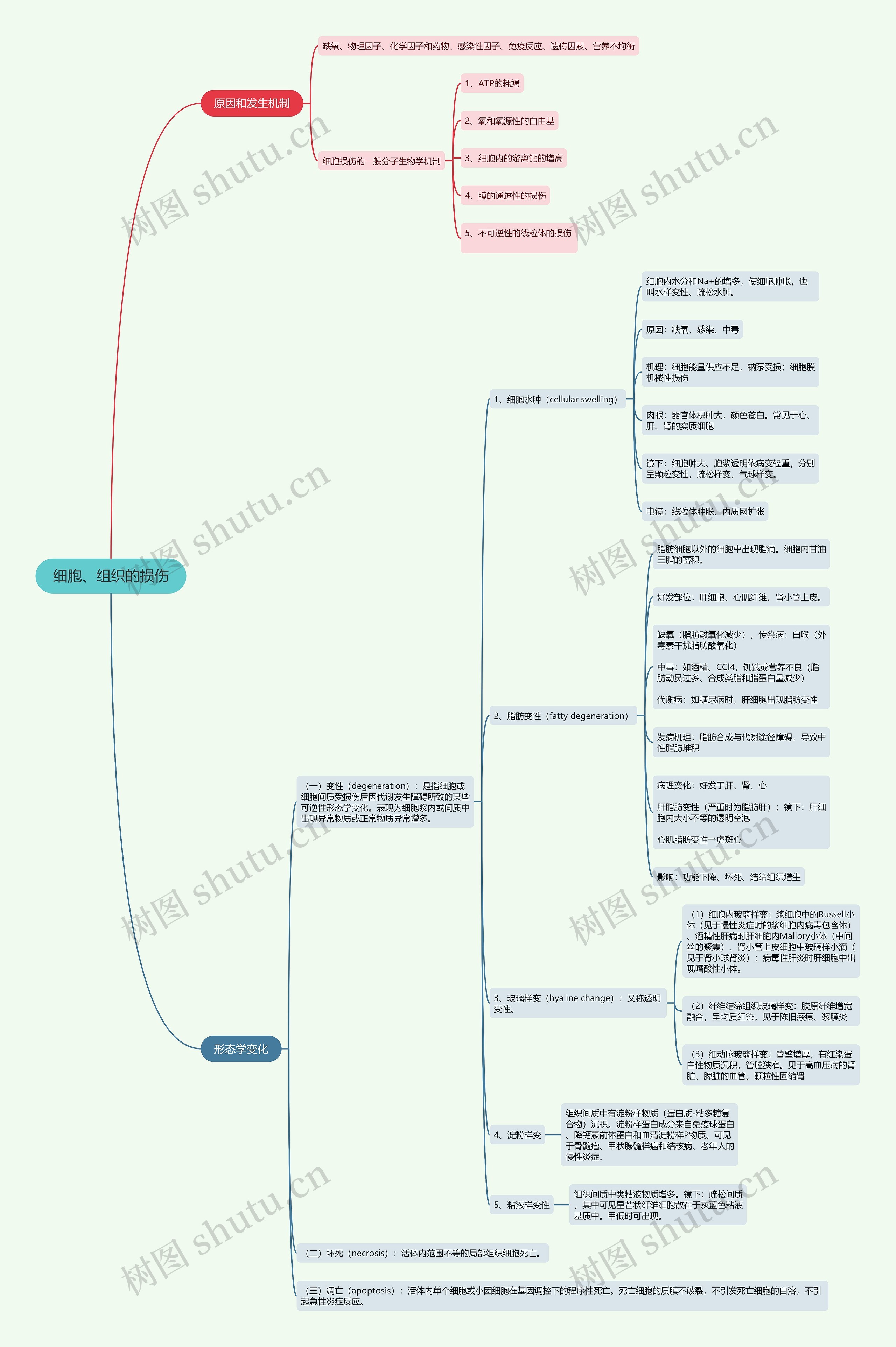 细胞、组织的损伤的思维导图