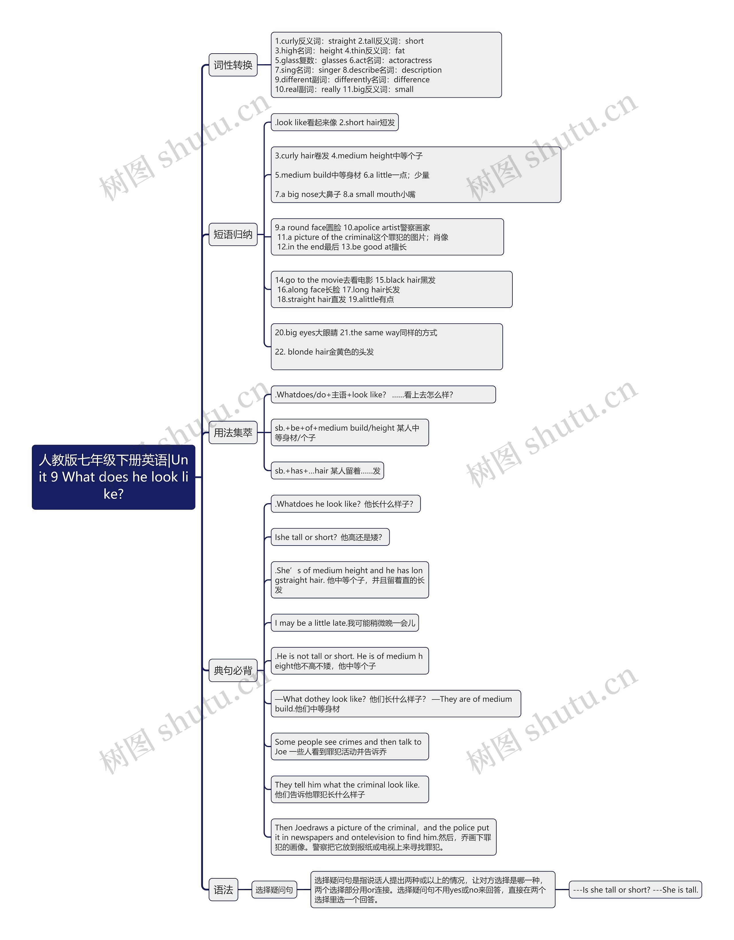 人教版七年级下册英语|Unit 9 What does he look like?思维导图