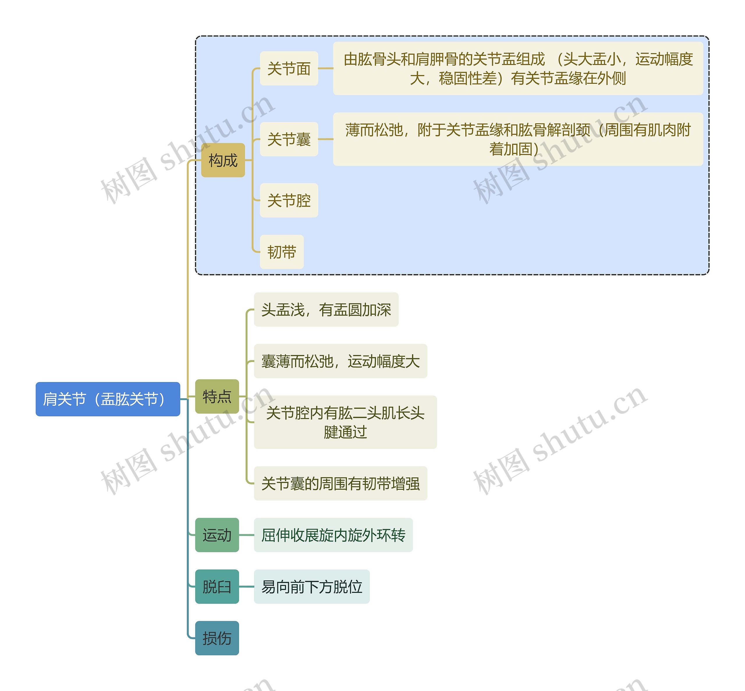 骨学知识肩关节（盂肱关节）思维导图