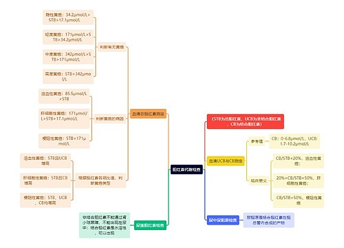 医学知识胆红素代谢检查思维导图