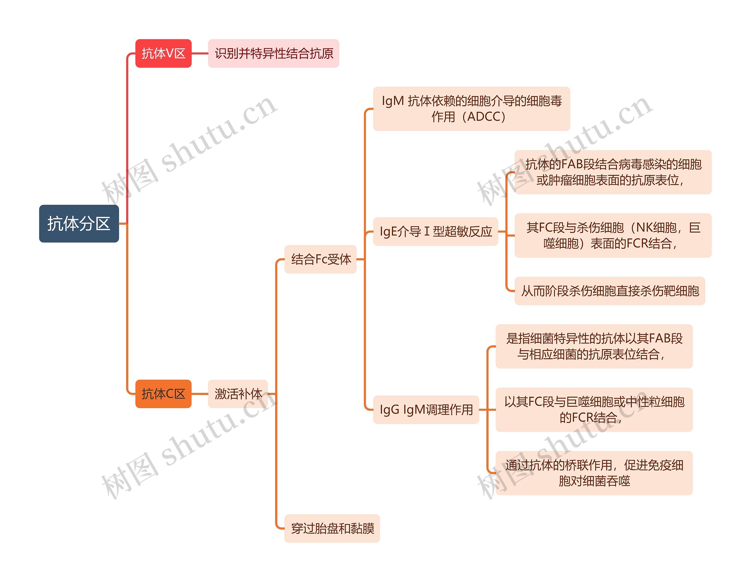 医学知识抗体分区思维导图