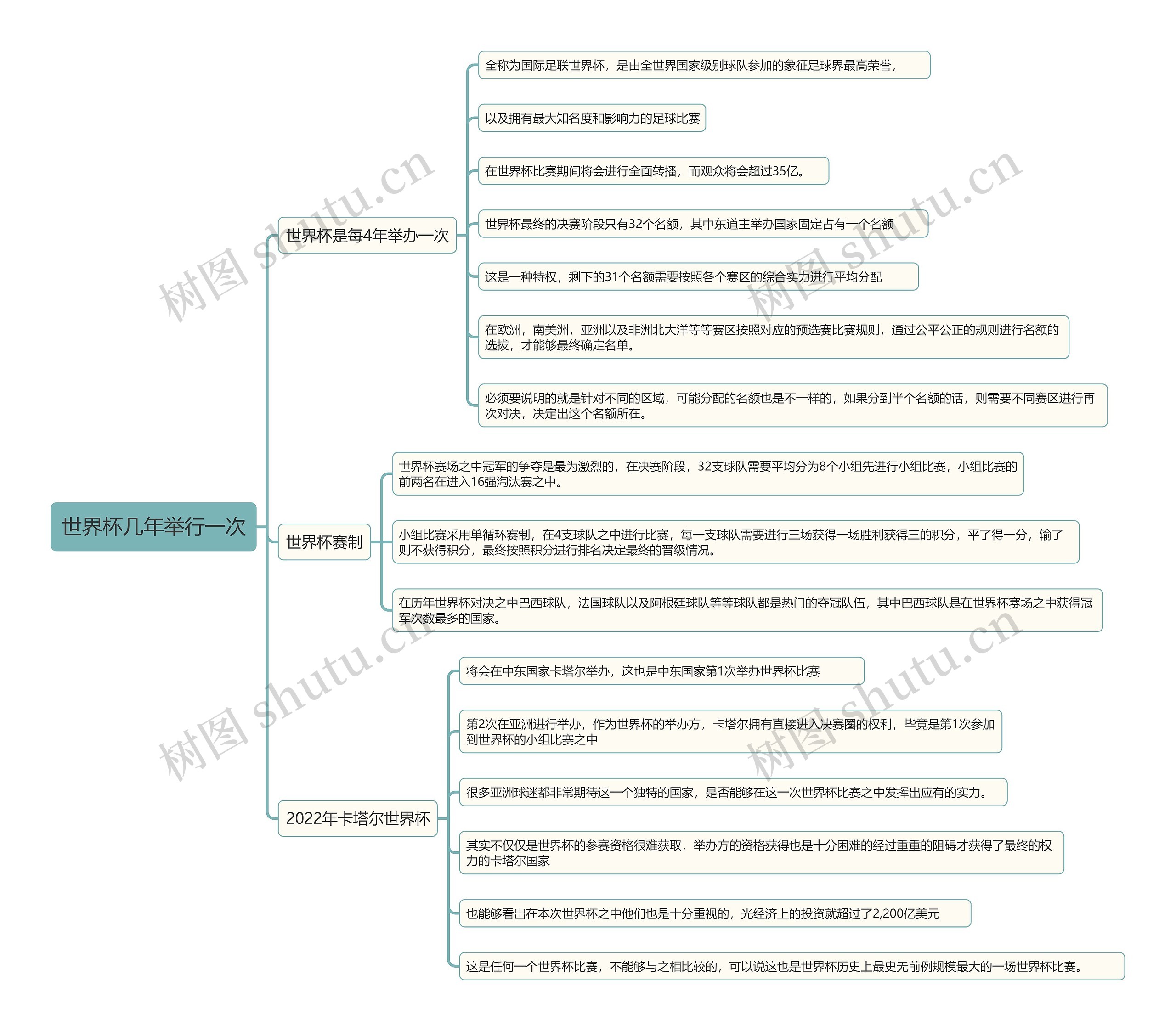 世界杯几年举行一次思维导图