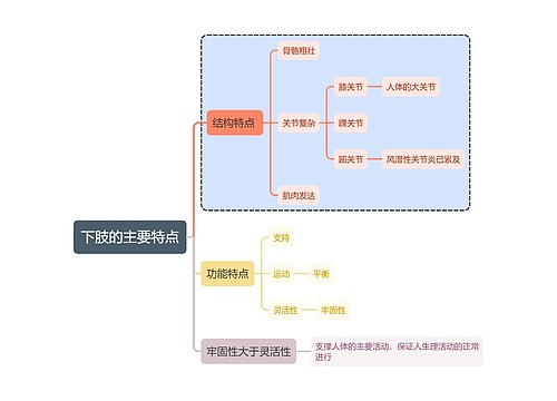 医学下肢的主要特点思维导图