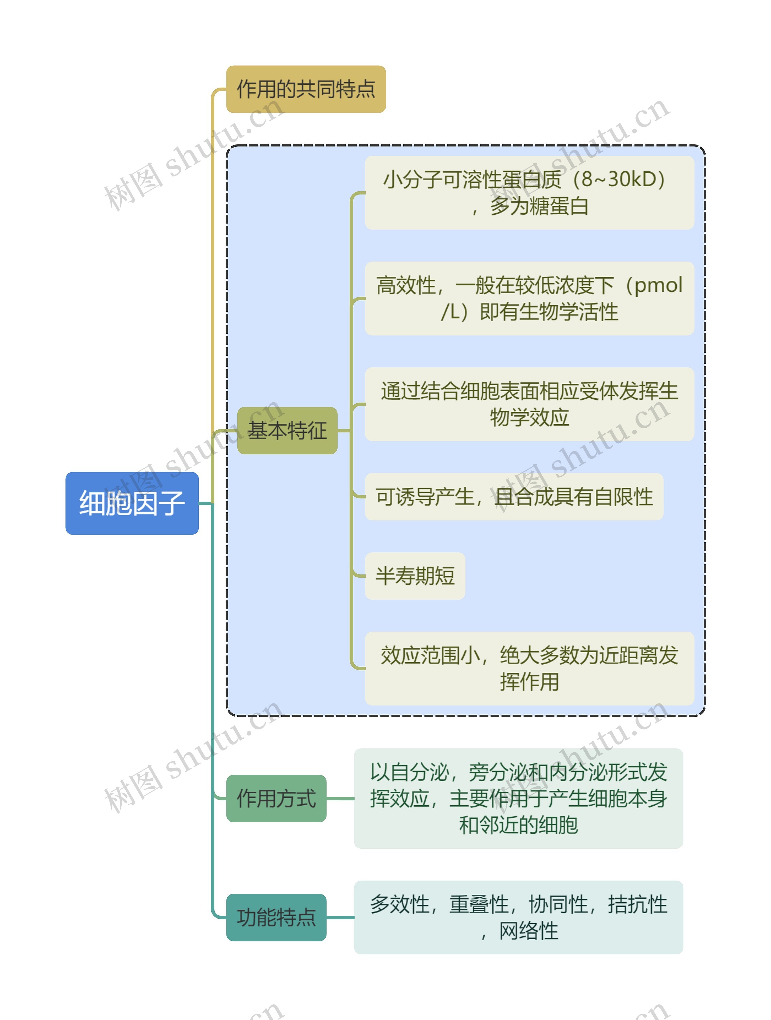 医学知识细胞因子思维导图