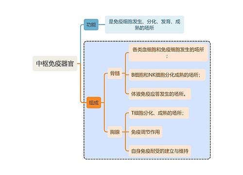 医学知识中枢免疫器官思维导图