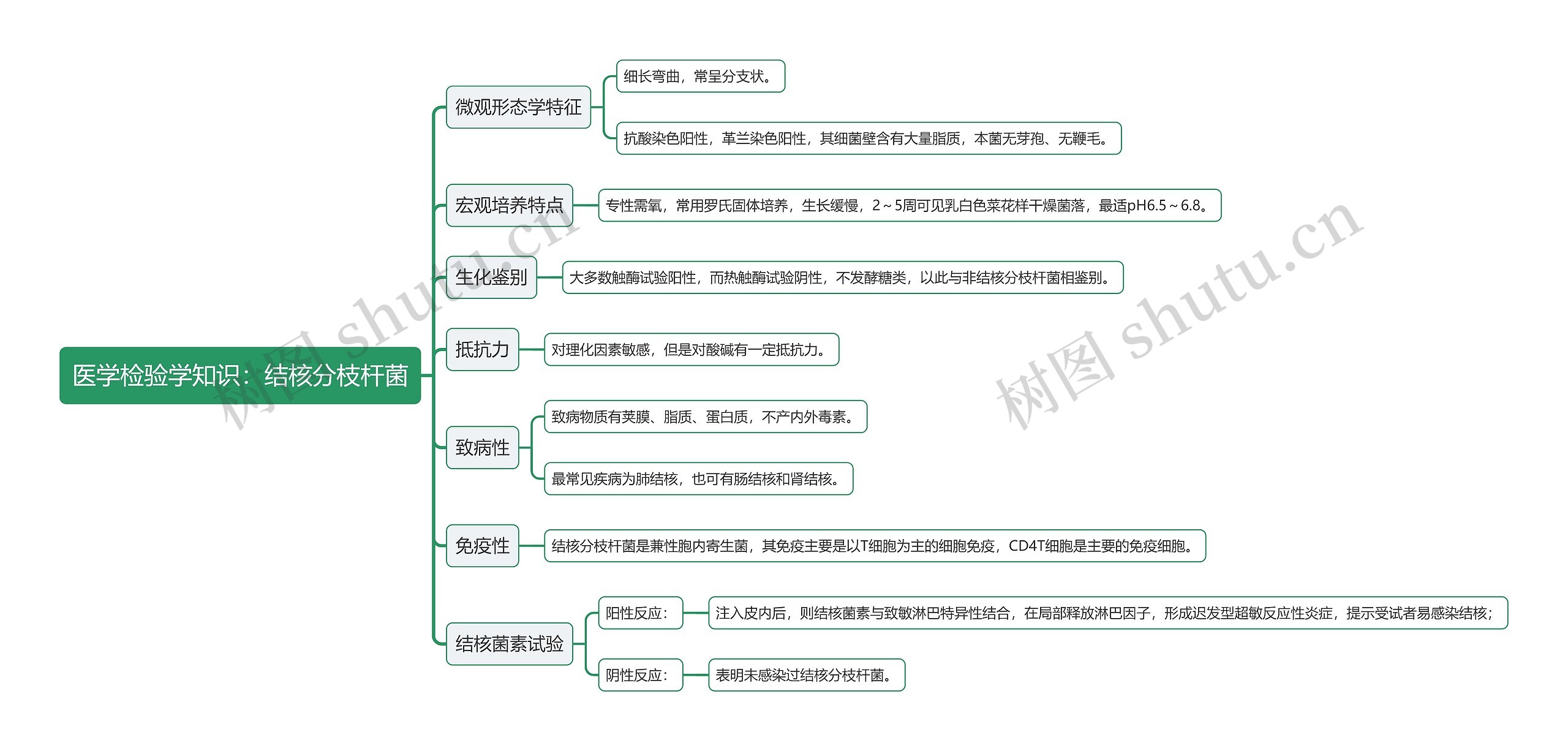 医学检验学知识：结核分枝杆菌思维导图