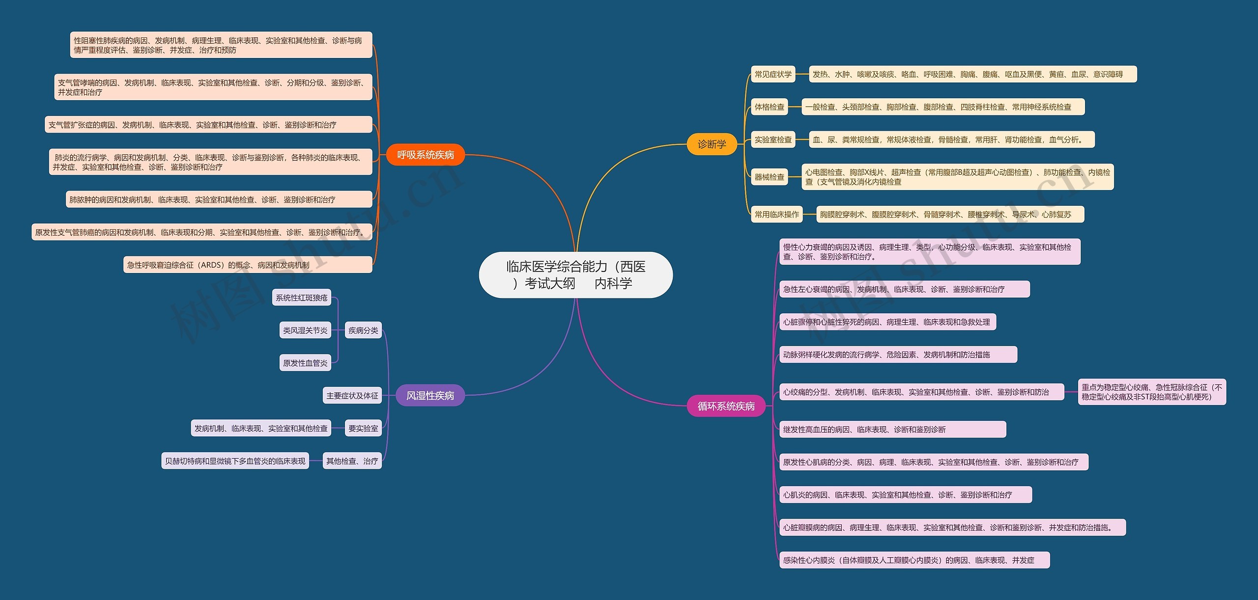 临床医学综合能力（西医）考试大纲     内科学  思维导图