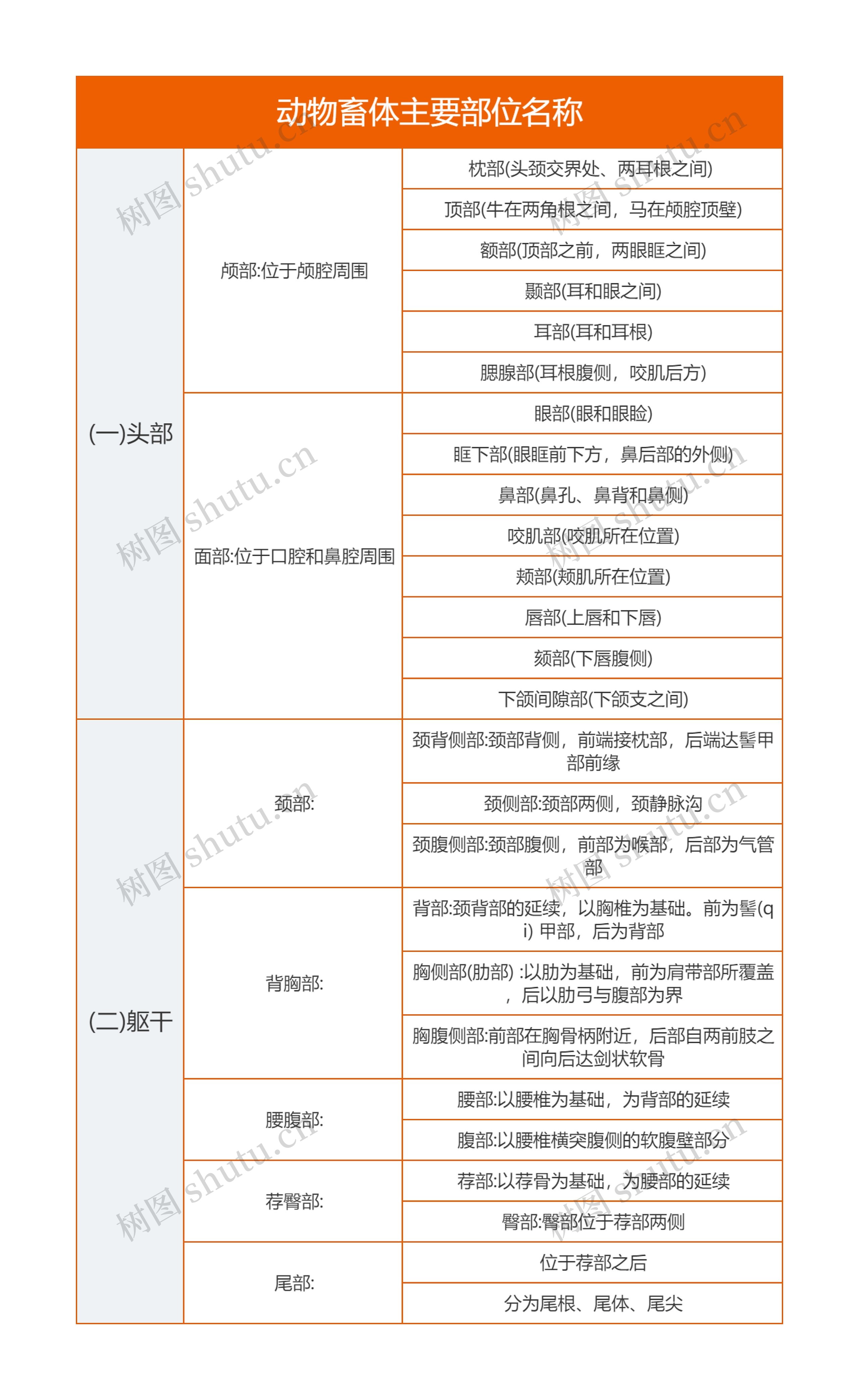 《动物畜体主要部位名称》思维导图