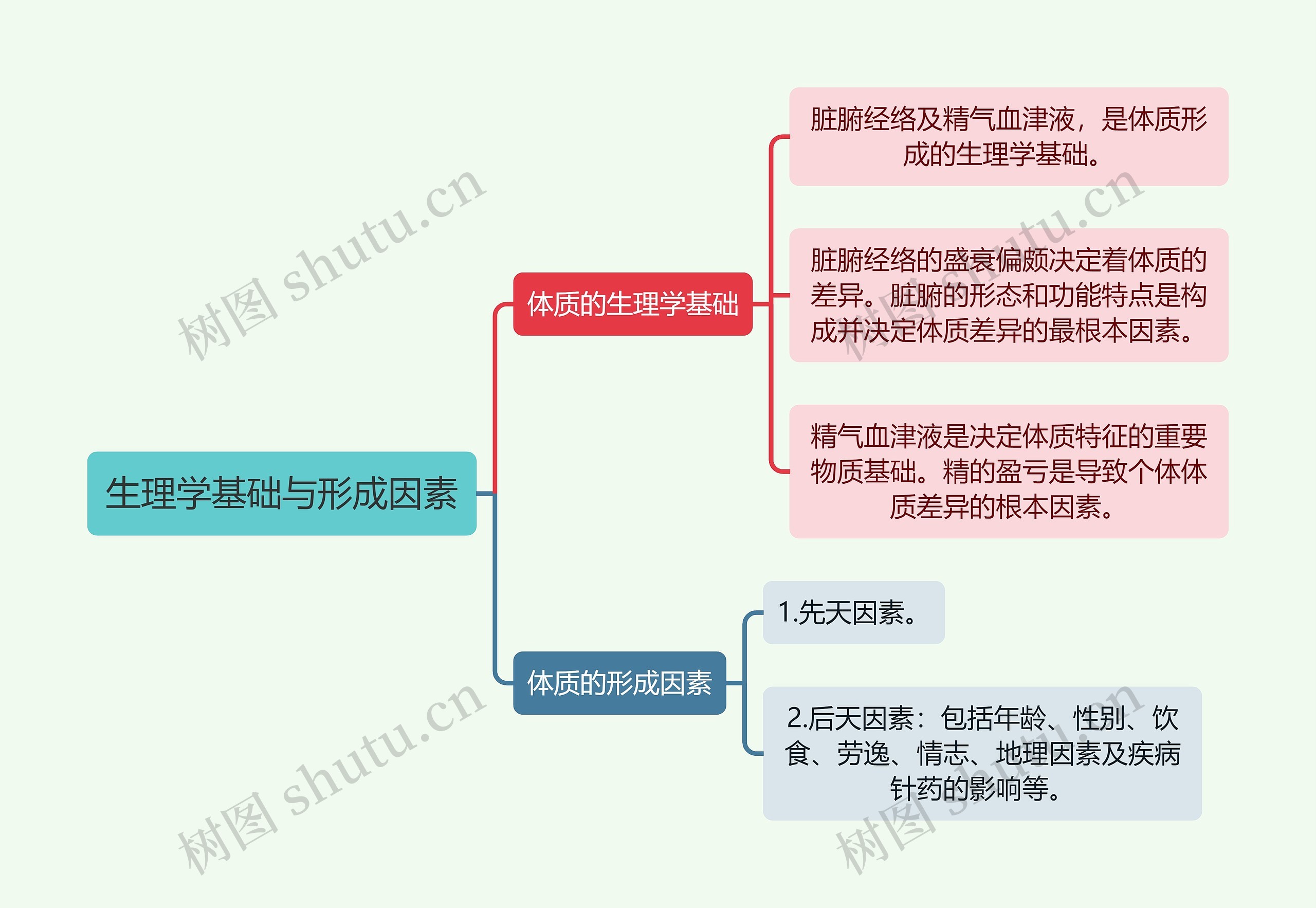 中医知识生理学基础与形成因素思维导图