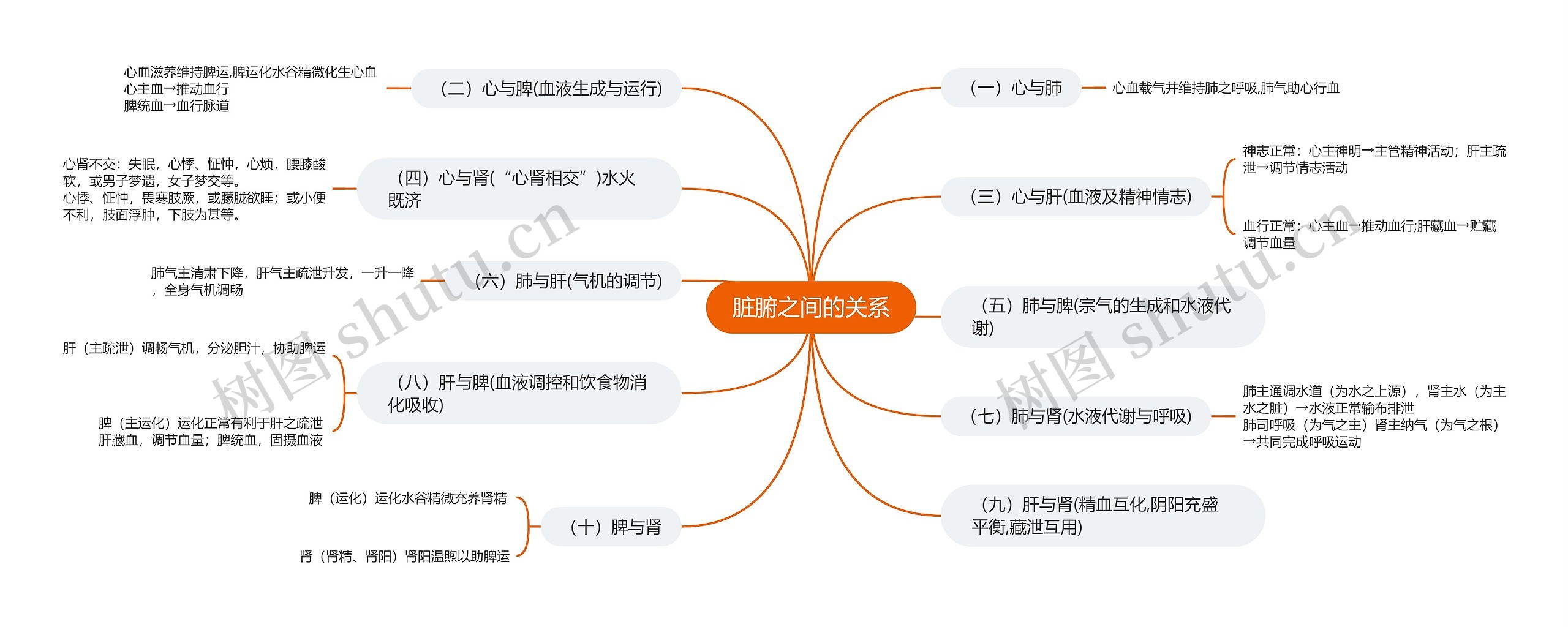 脏腑之间的关系思维导图