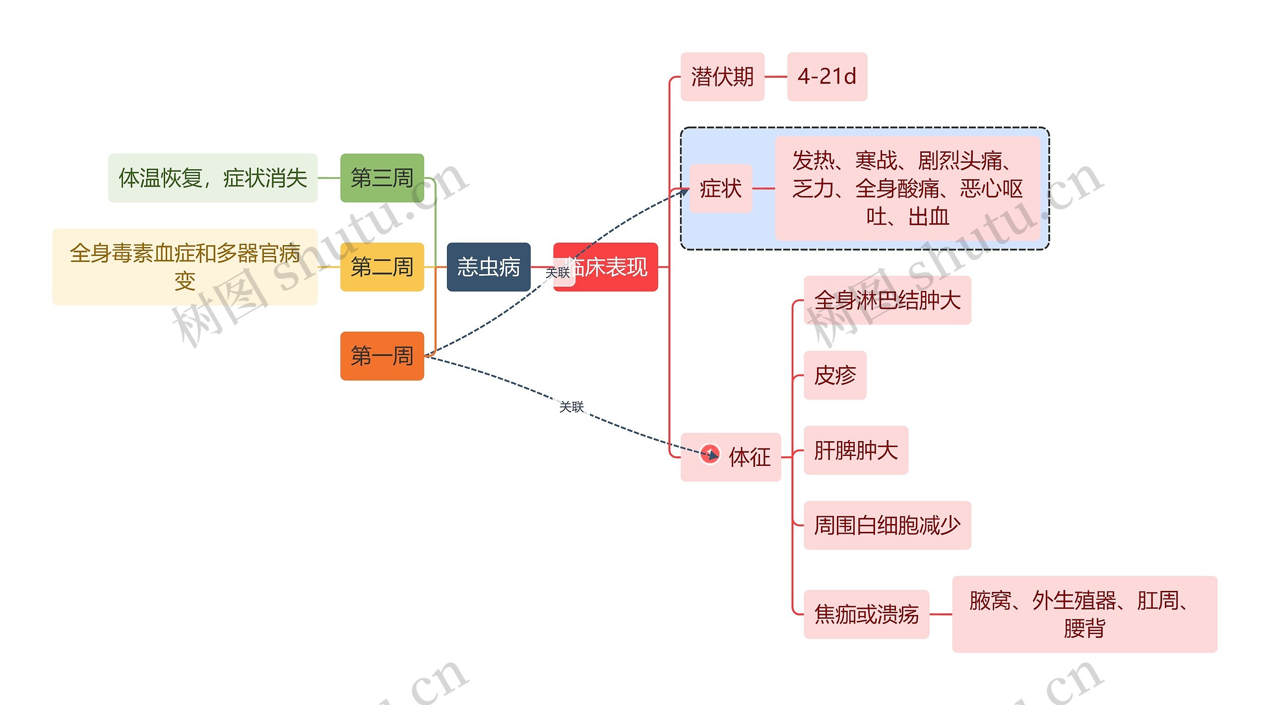 医学知识恙虫病临床表现思维导图