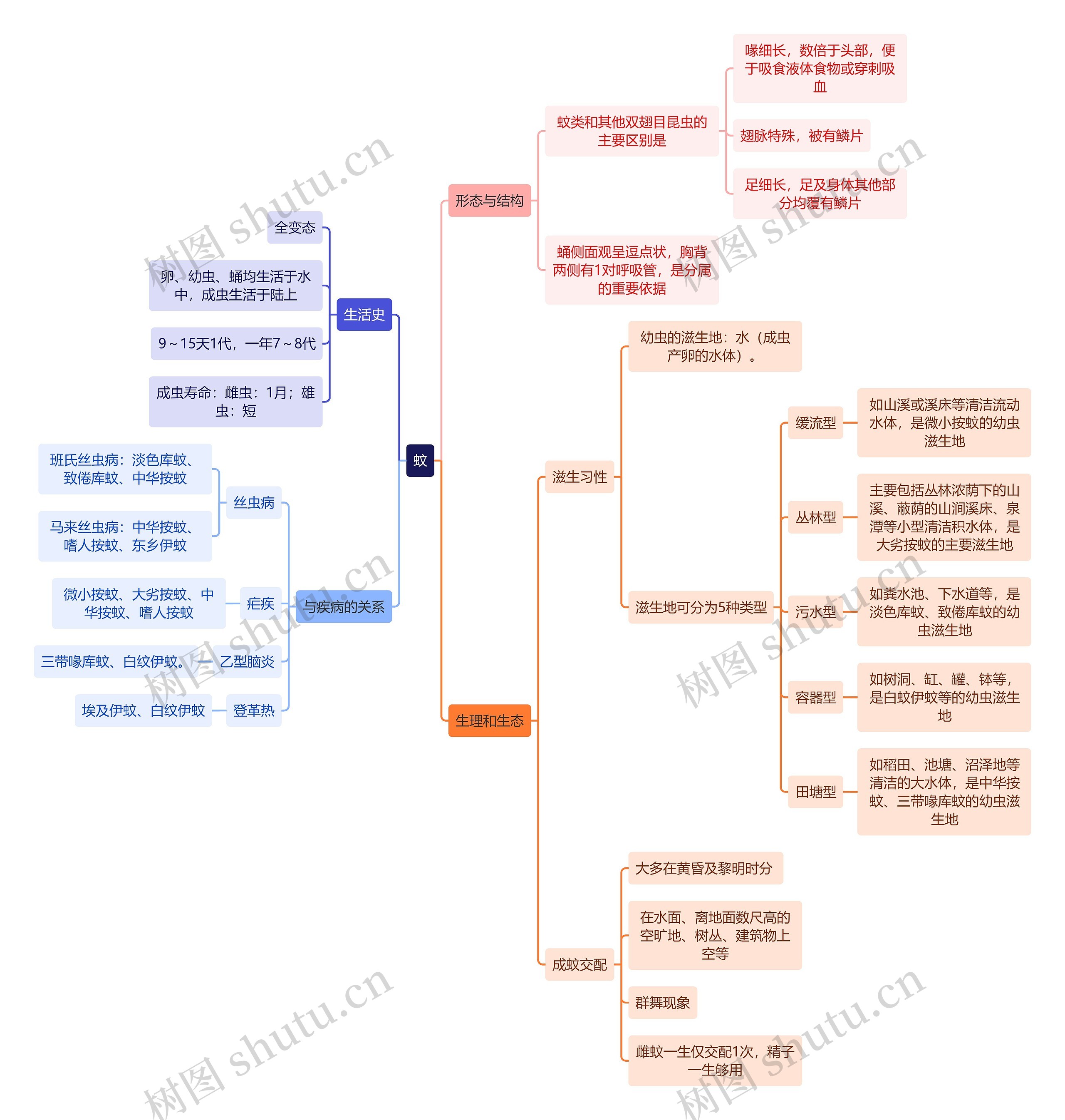 医学知识蚊思维导图