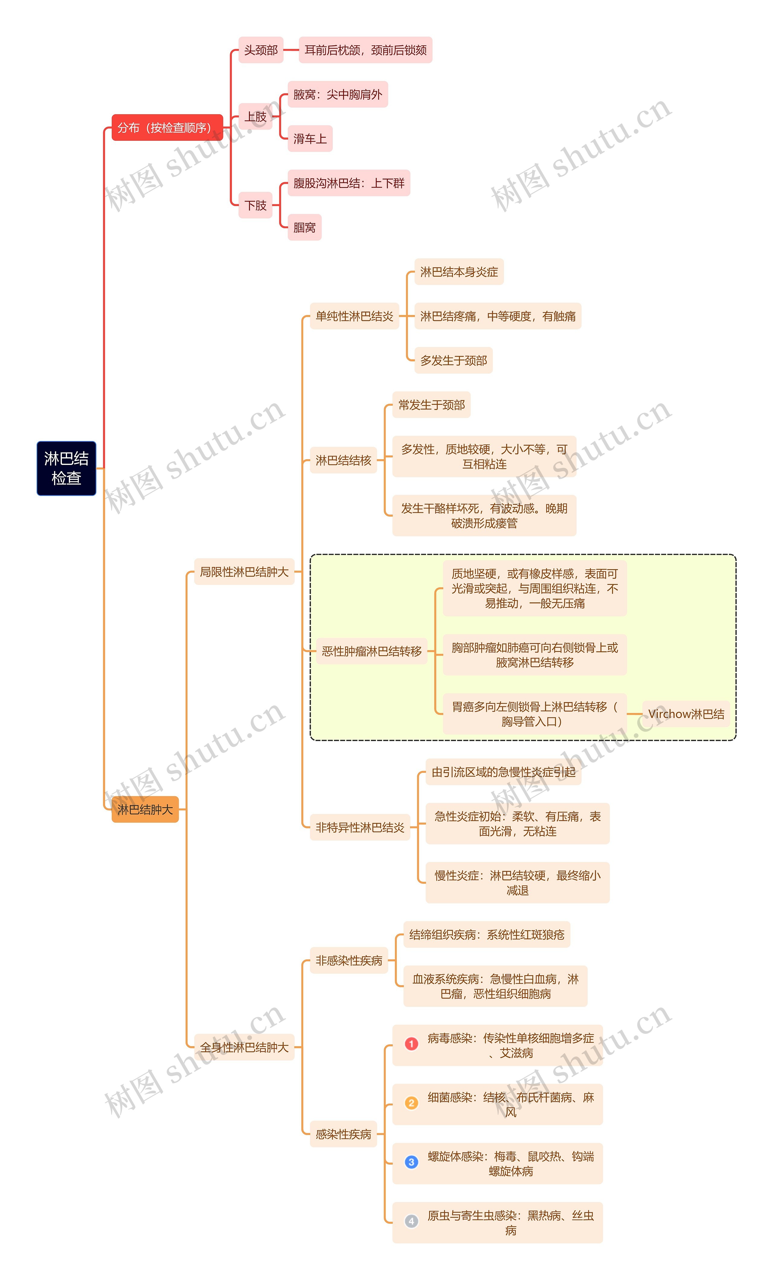 医学知识淋巴结检查思维导图