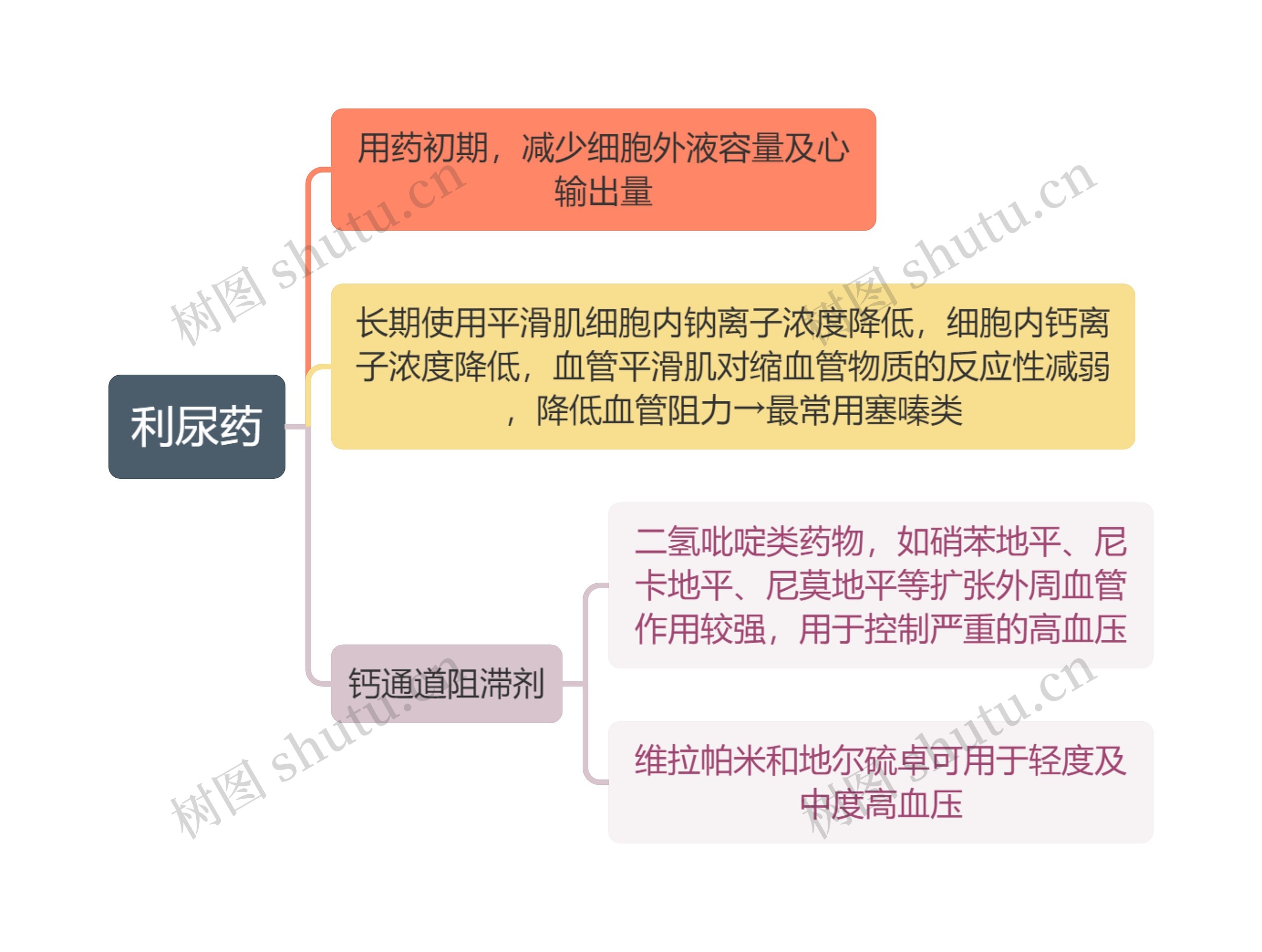 医学利尿药思维导图