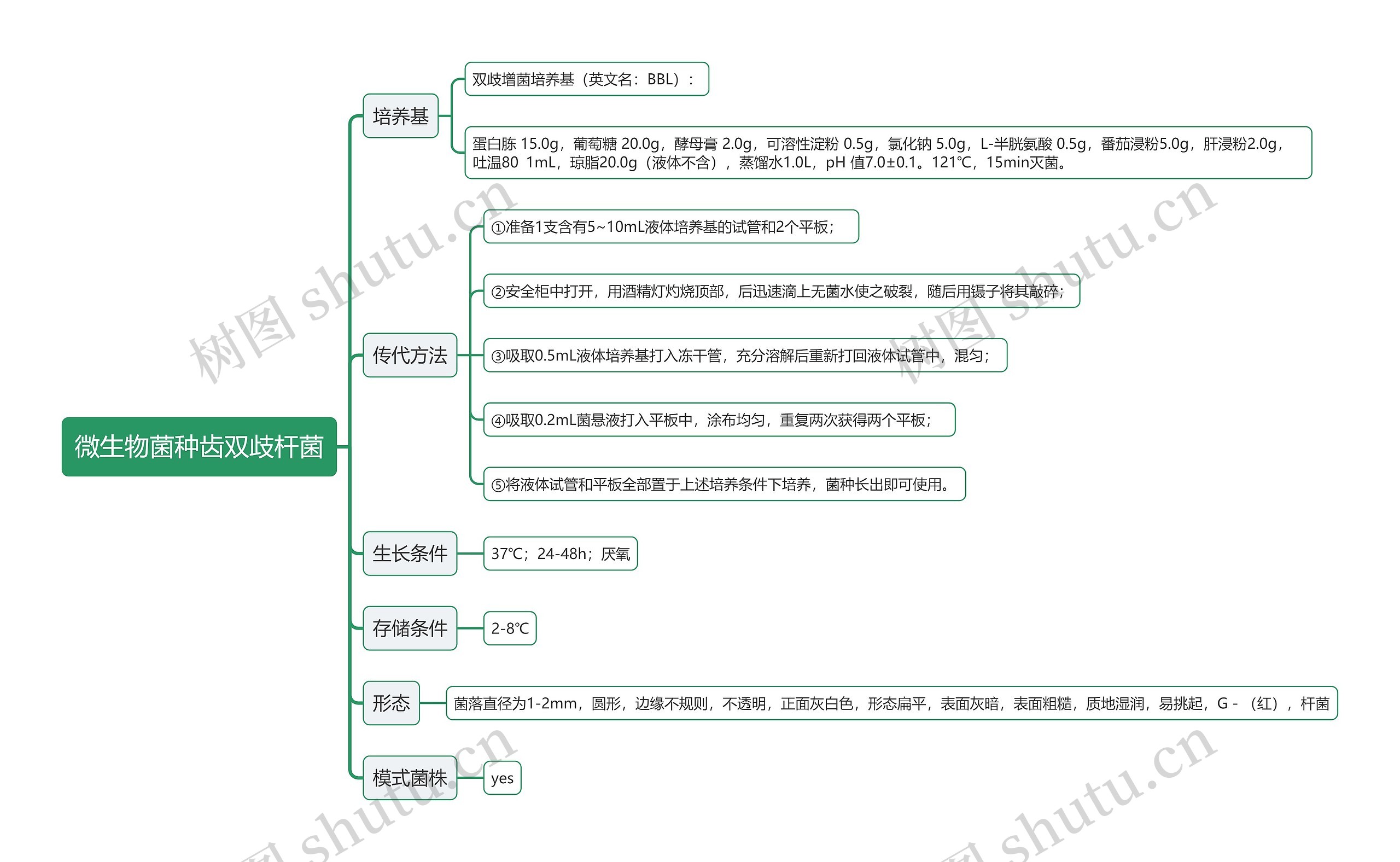 微生物菌种齿双歧杆菌思维导图