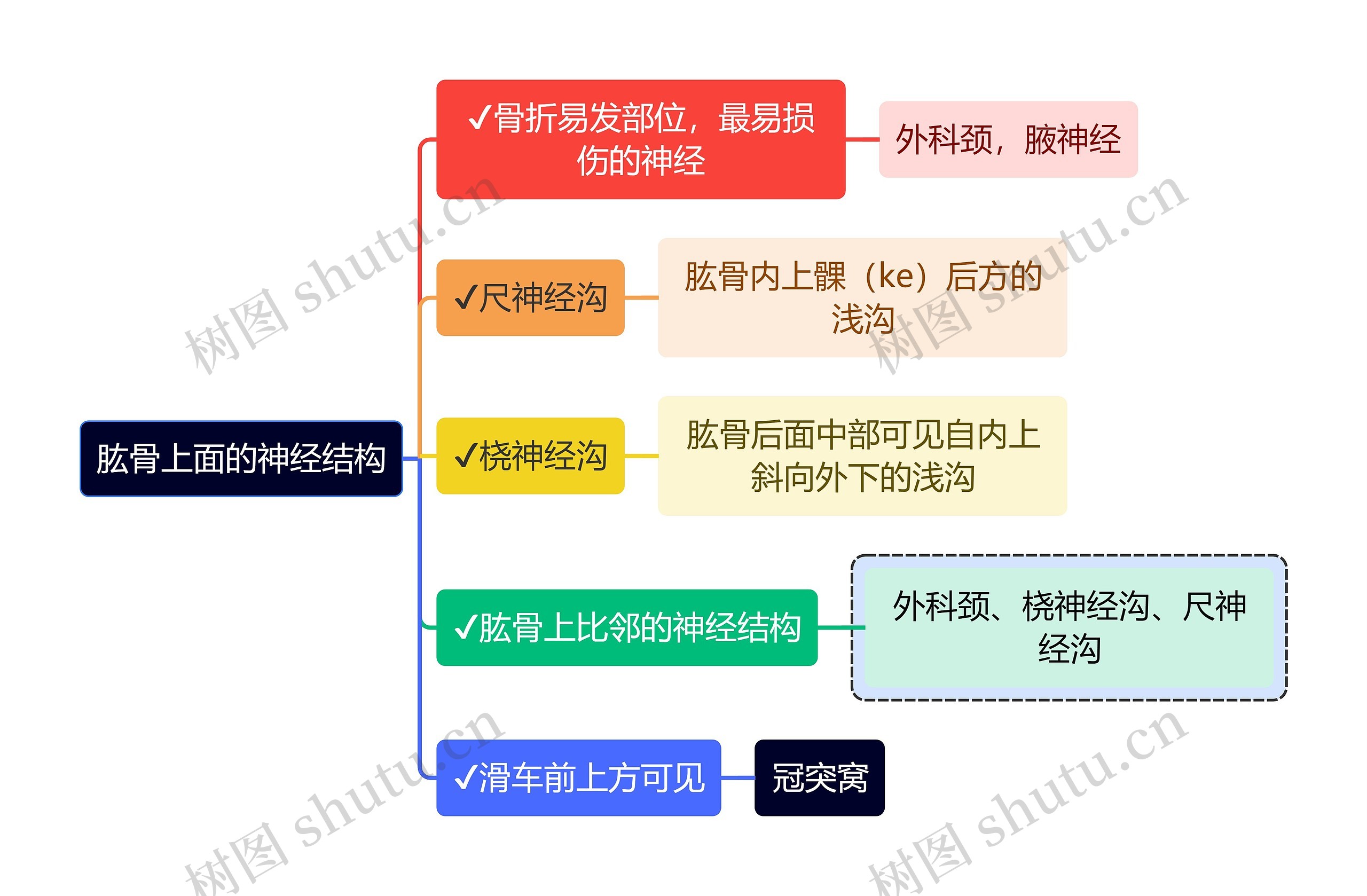 医学知识肱骨上面的神经结构思维导图